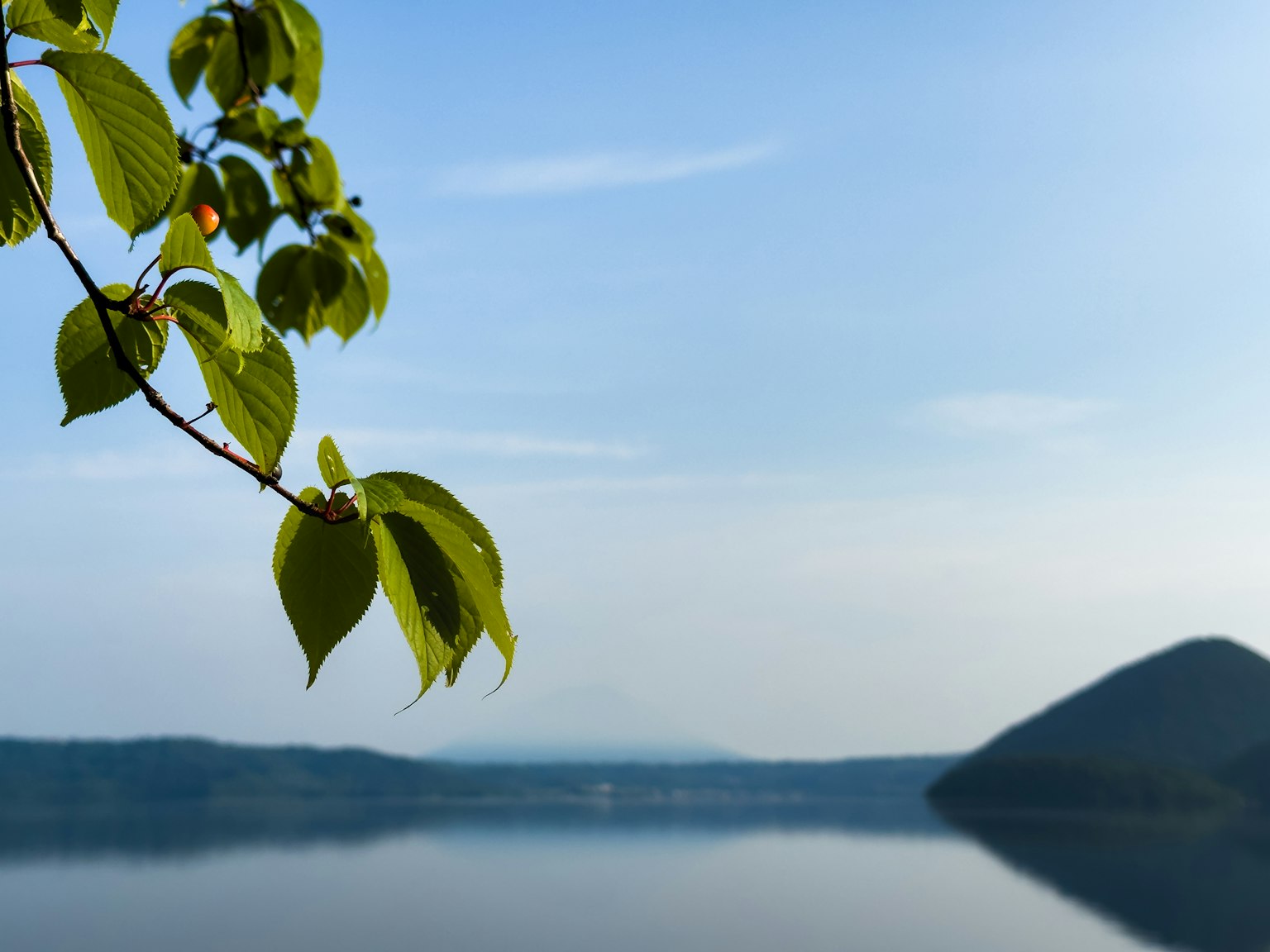 Gros plan sur des feuilles vertes avec un lac serein et un ciel bleu en arrière-plan