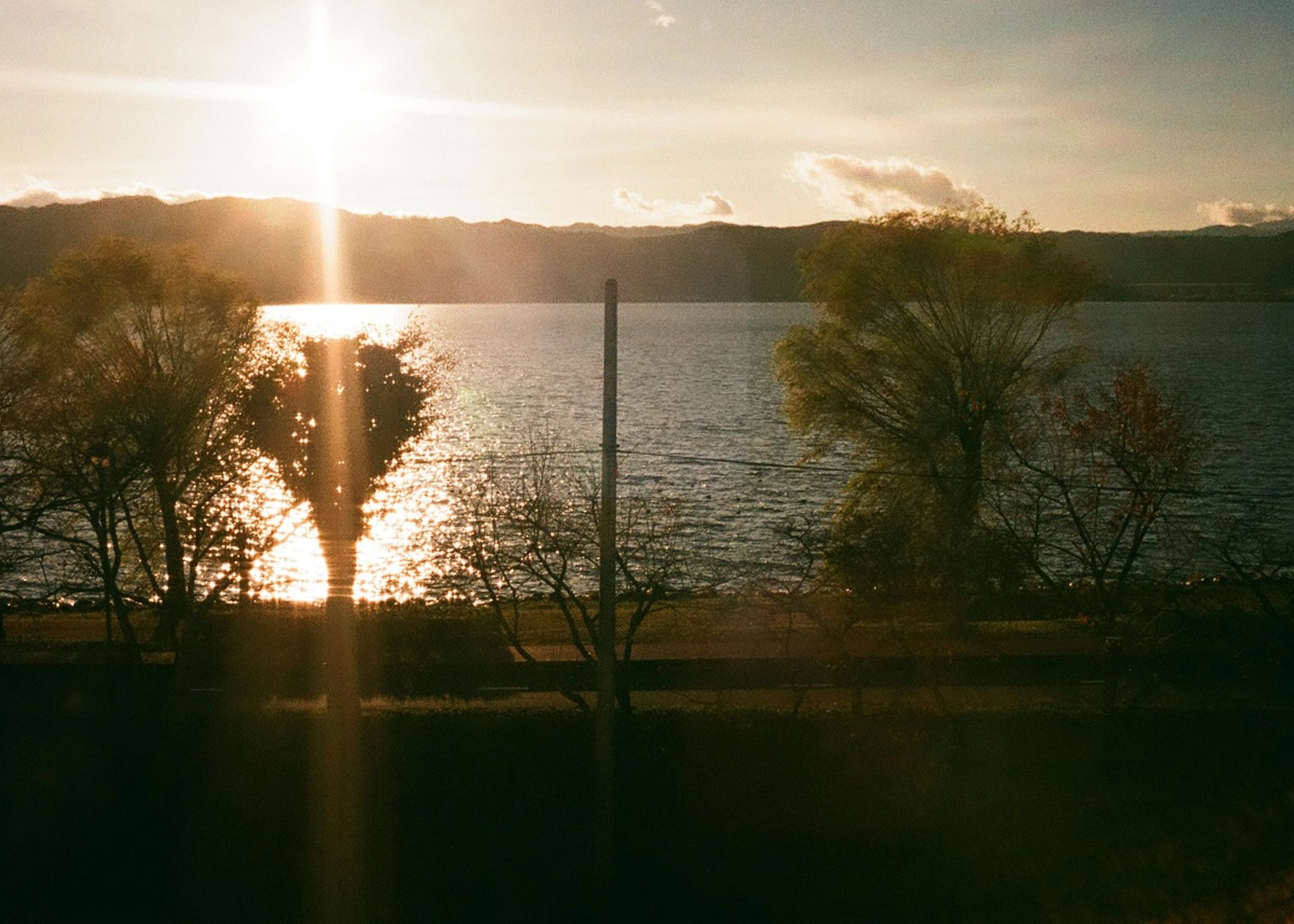 Alberi in riva al lago con riflessi del tramonto sull'acqua