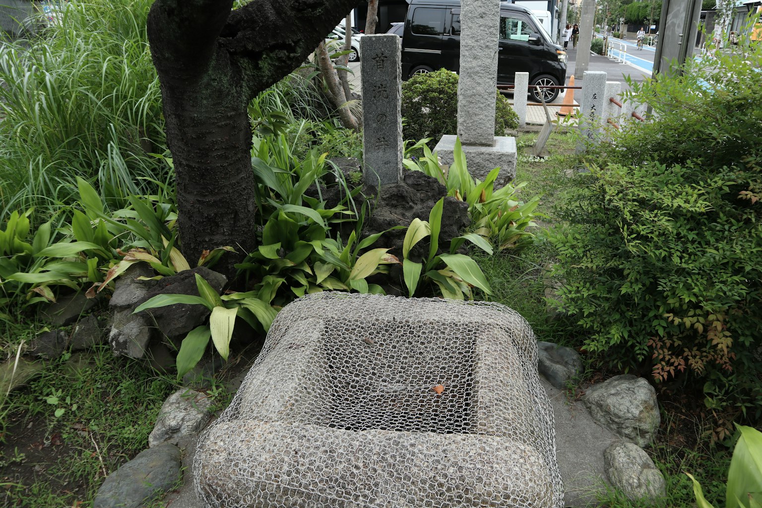 石造りの井戸と周囲の緑豊かな植物がある風景