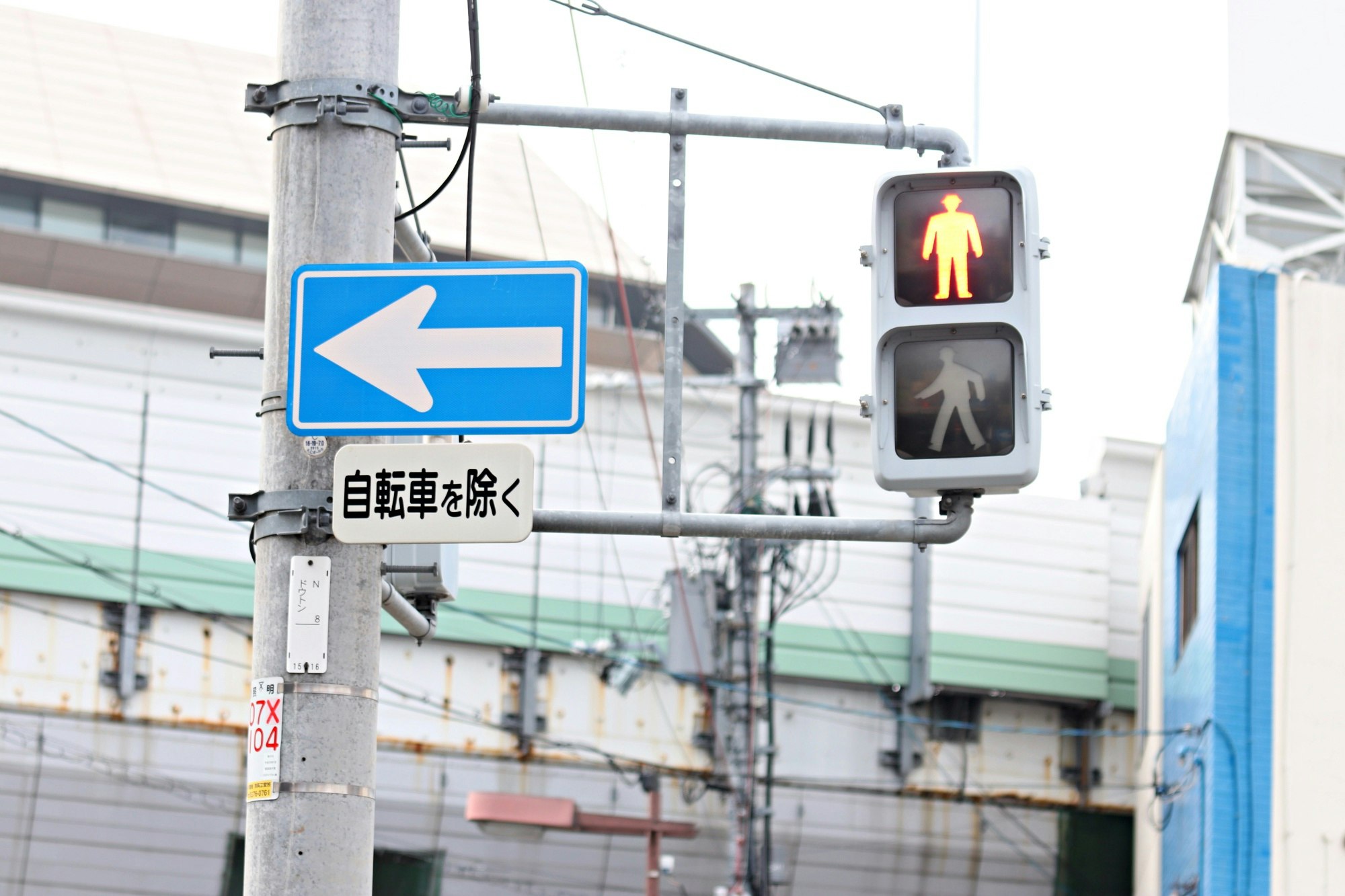 人行信号灯与自行车道标志的路口