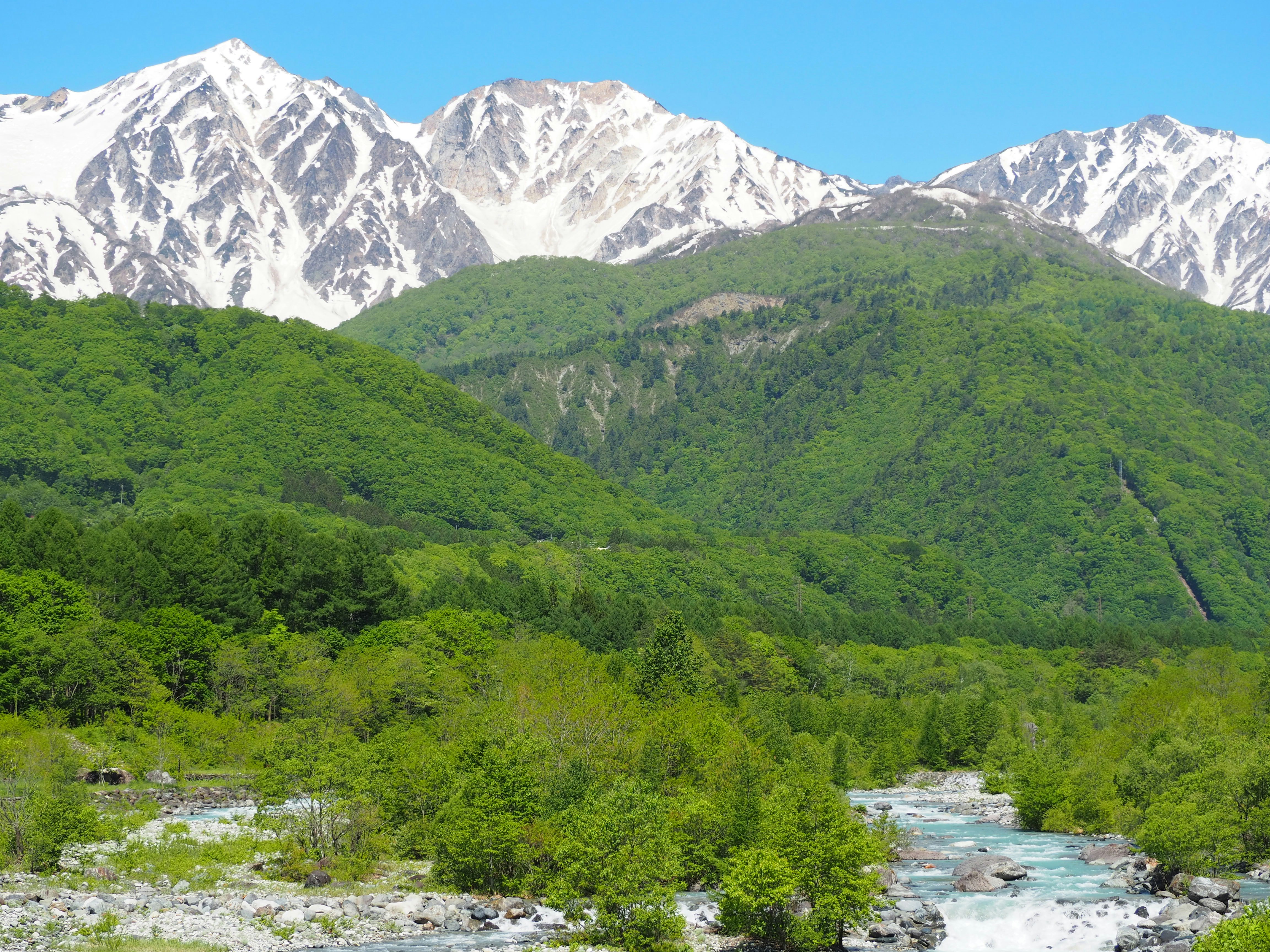 雪を頂く山々と緑の渓谷、川の流れが見える風景
