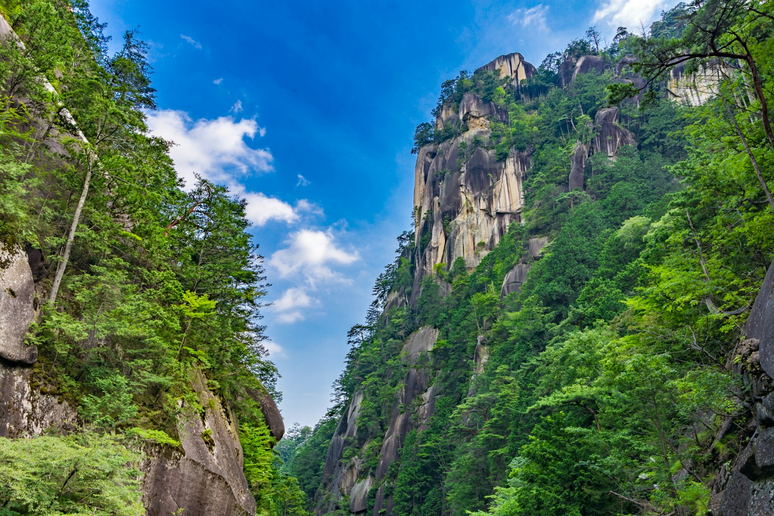 郁郁葱葱的山脉和晴朗的蓝天