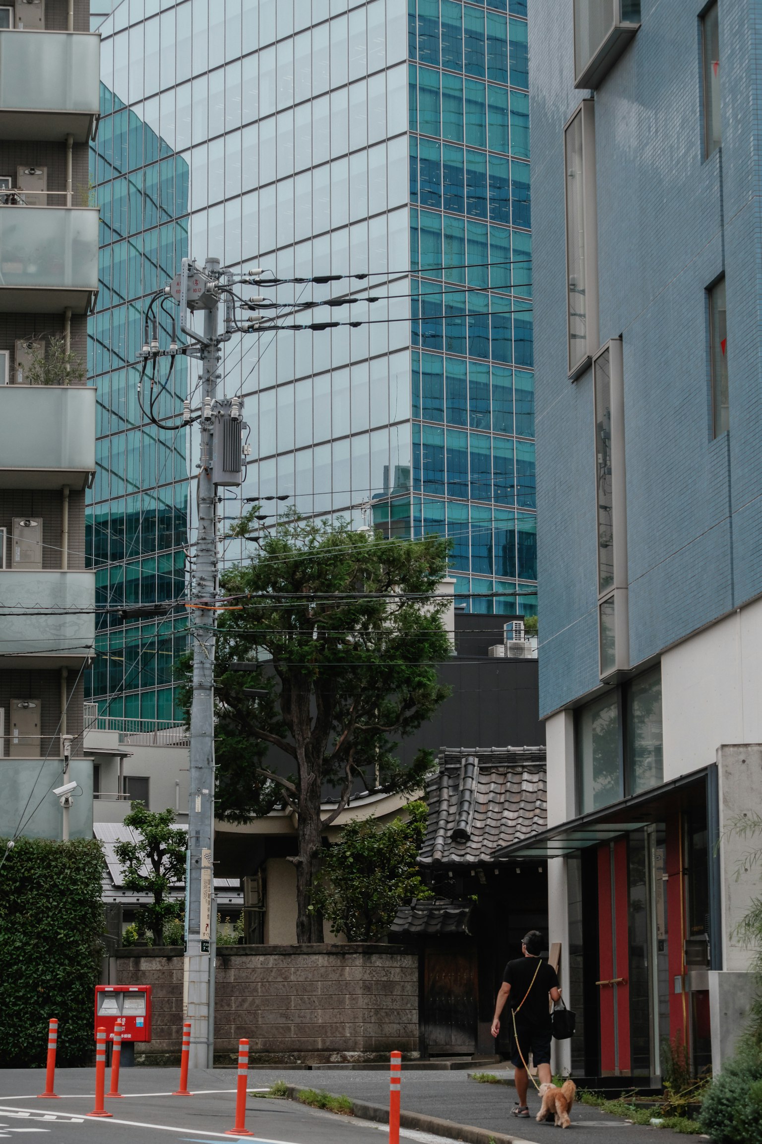 Urban scene featuring a high-rise building alongside traditional architecture