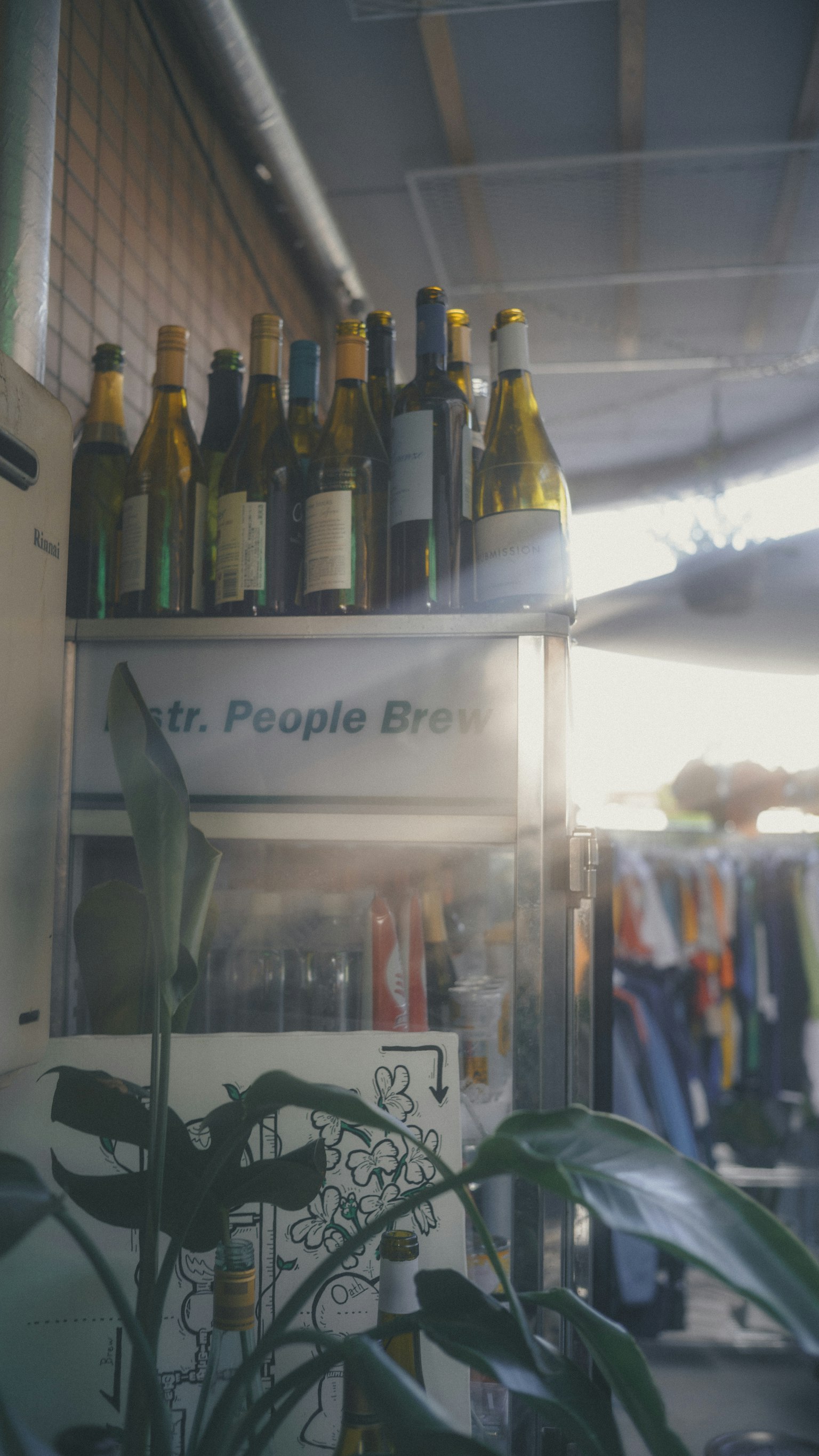 瓶が並ぶ冷蔵庫の上に置かれたワインボトルと植物のある店内の風景