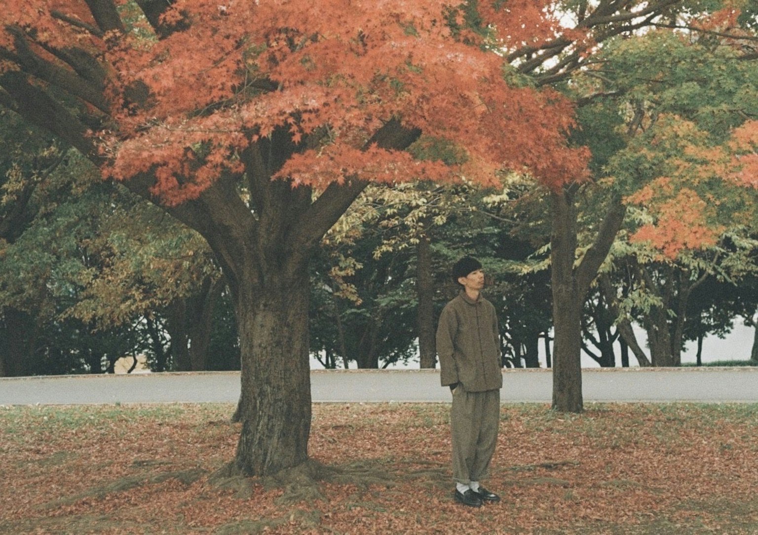 Person standing under vibrant autumn foliage with colorful trees