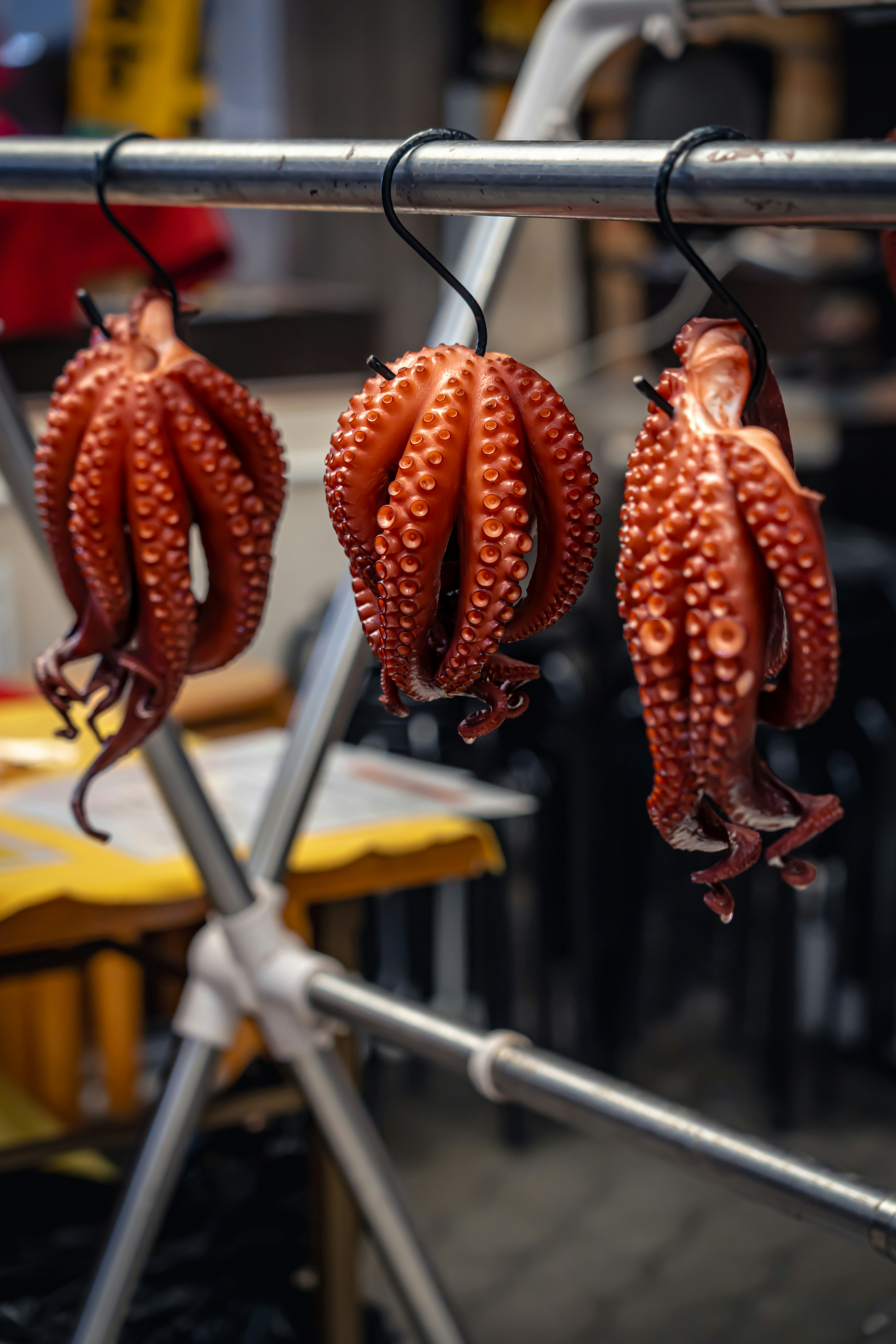 屋内の物干しに掛かったタコの干物