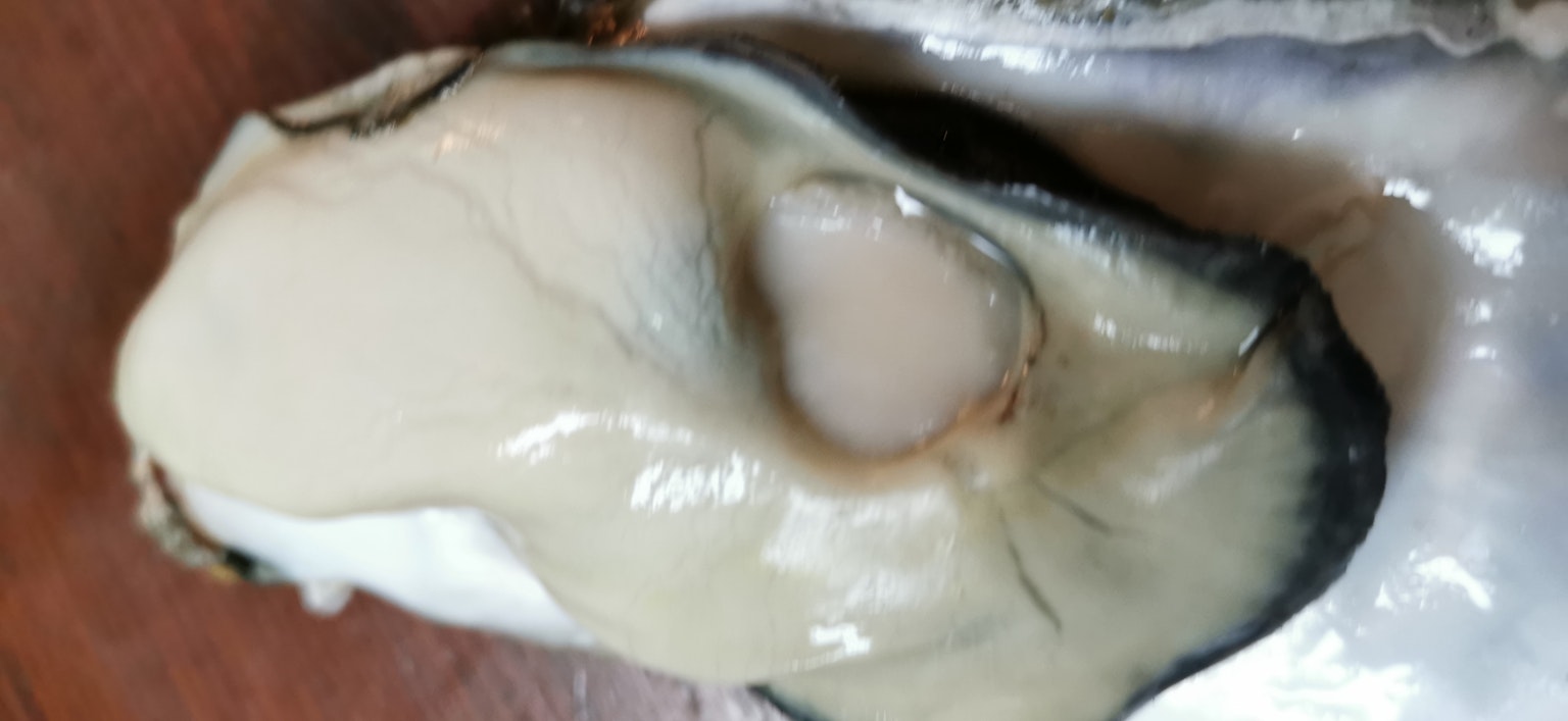 Une huître crue placée sur sa coquille
