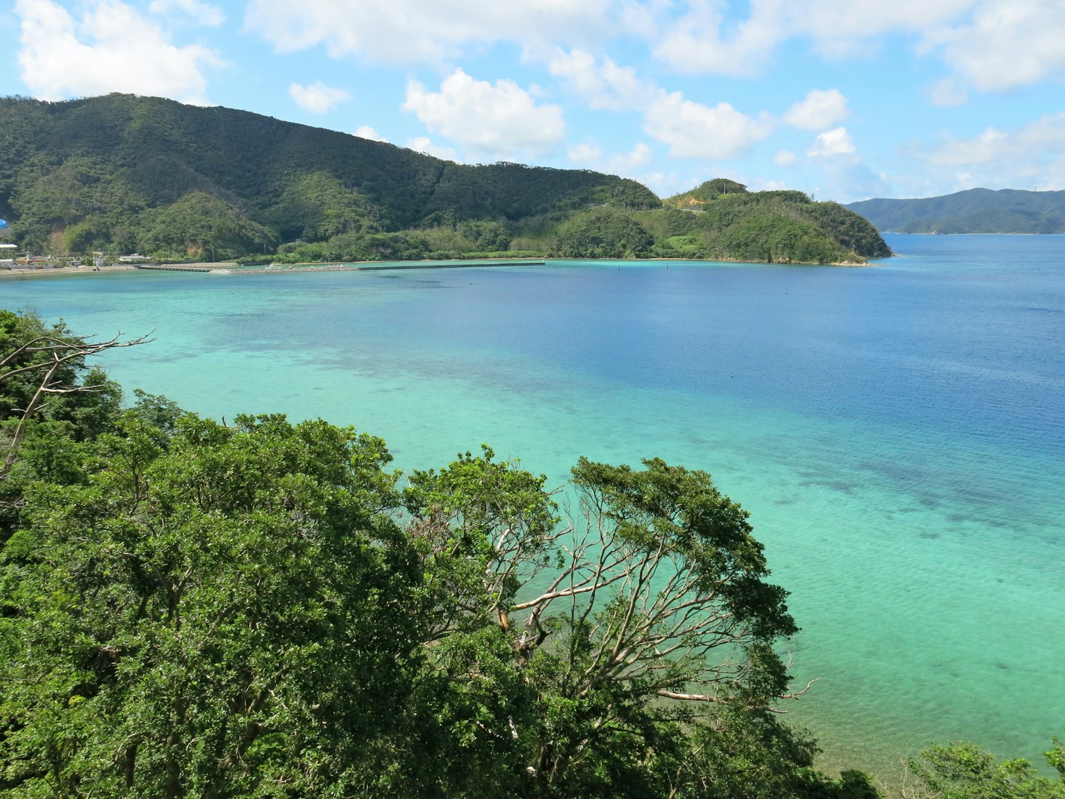 Vista panorámica de aguas turquesas y árboles verdes exuberantes