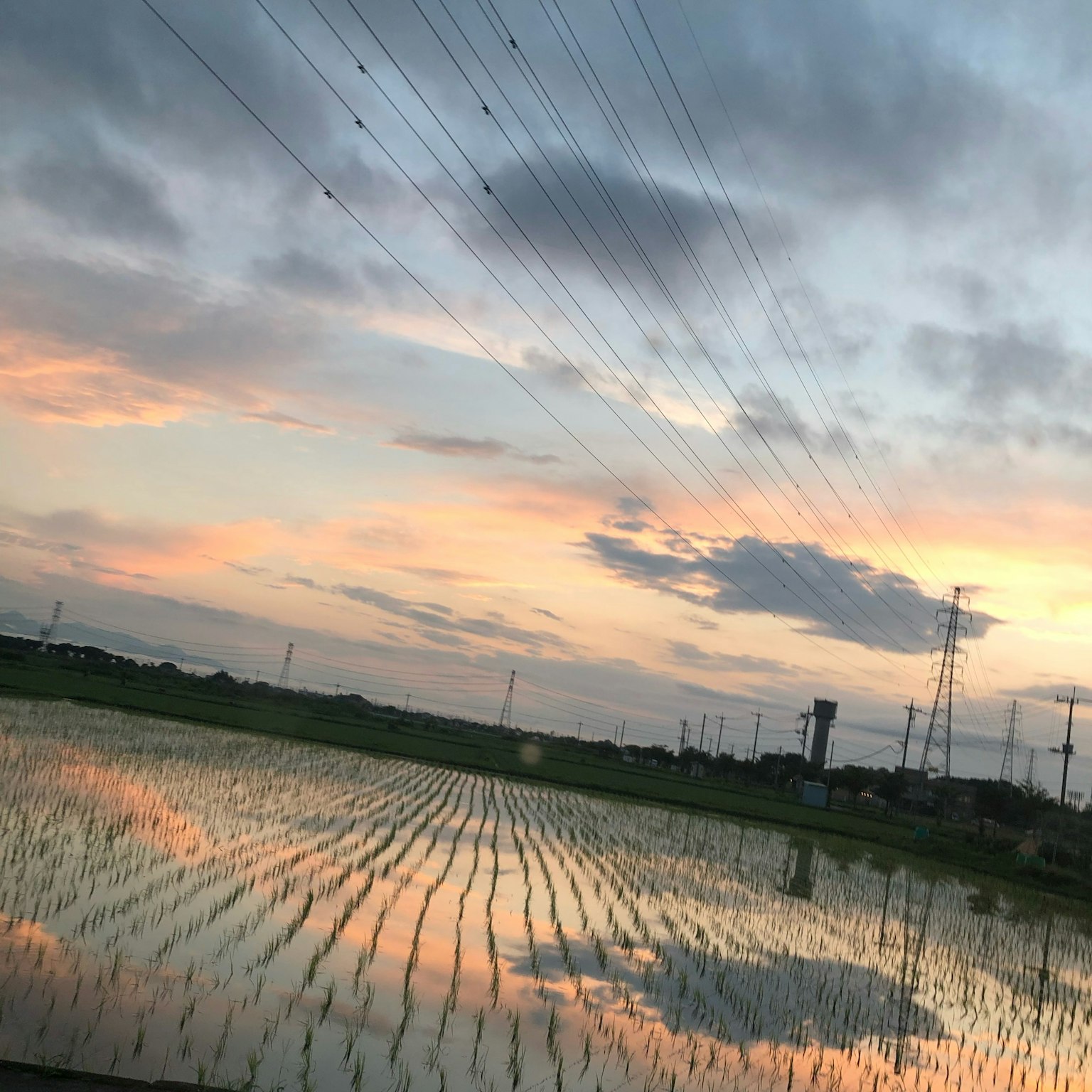 Paysage magnifique avec ciel au coucher de soleil et reflet dans les rizières Lignes électriques en arrière-plan