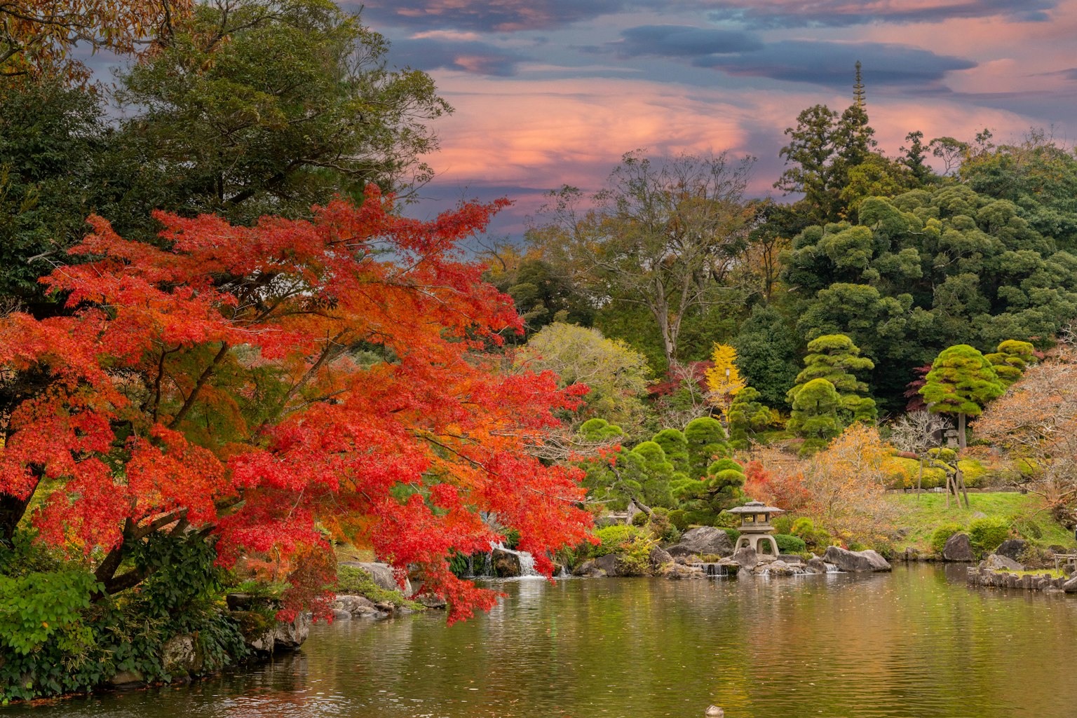 Beau paysage d'automne d'un jardin avec un arbre à feuilles rouges et un étang tranquille