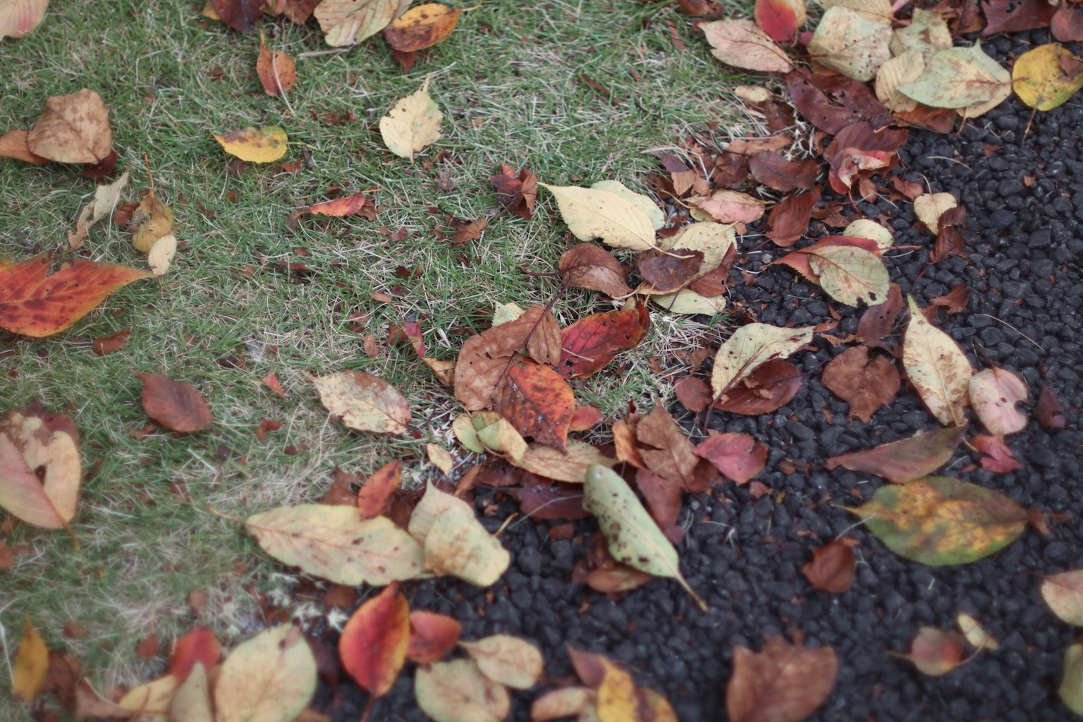 photo-1J1ahQCXhyH0m5qo8uer-image