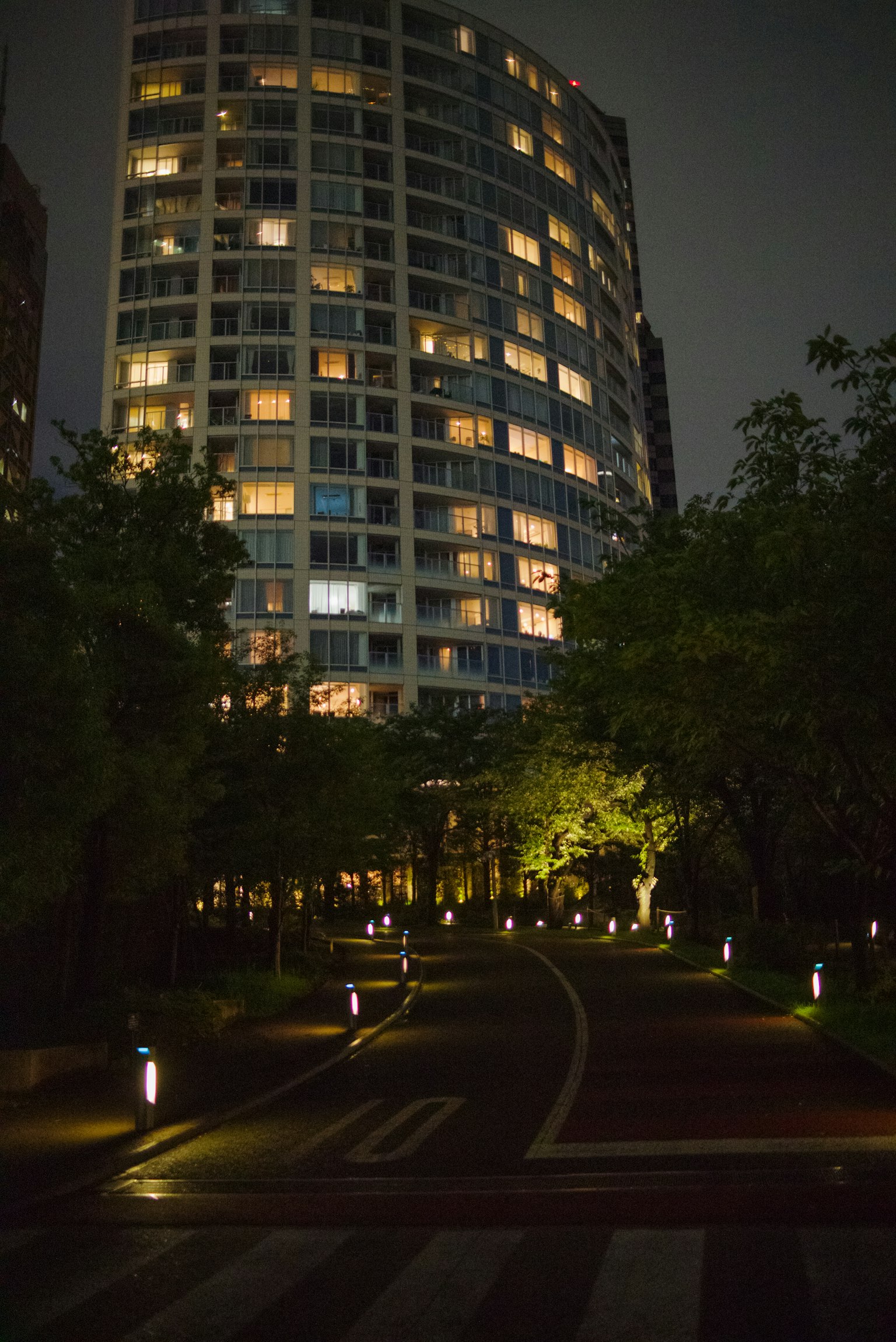夜晚城市街道的景观与亮着灯的高层建筑
