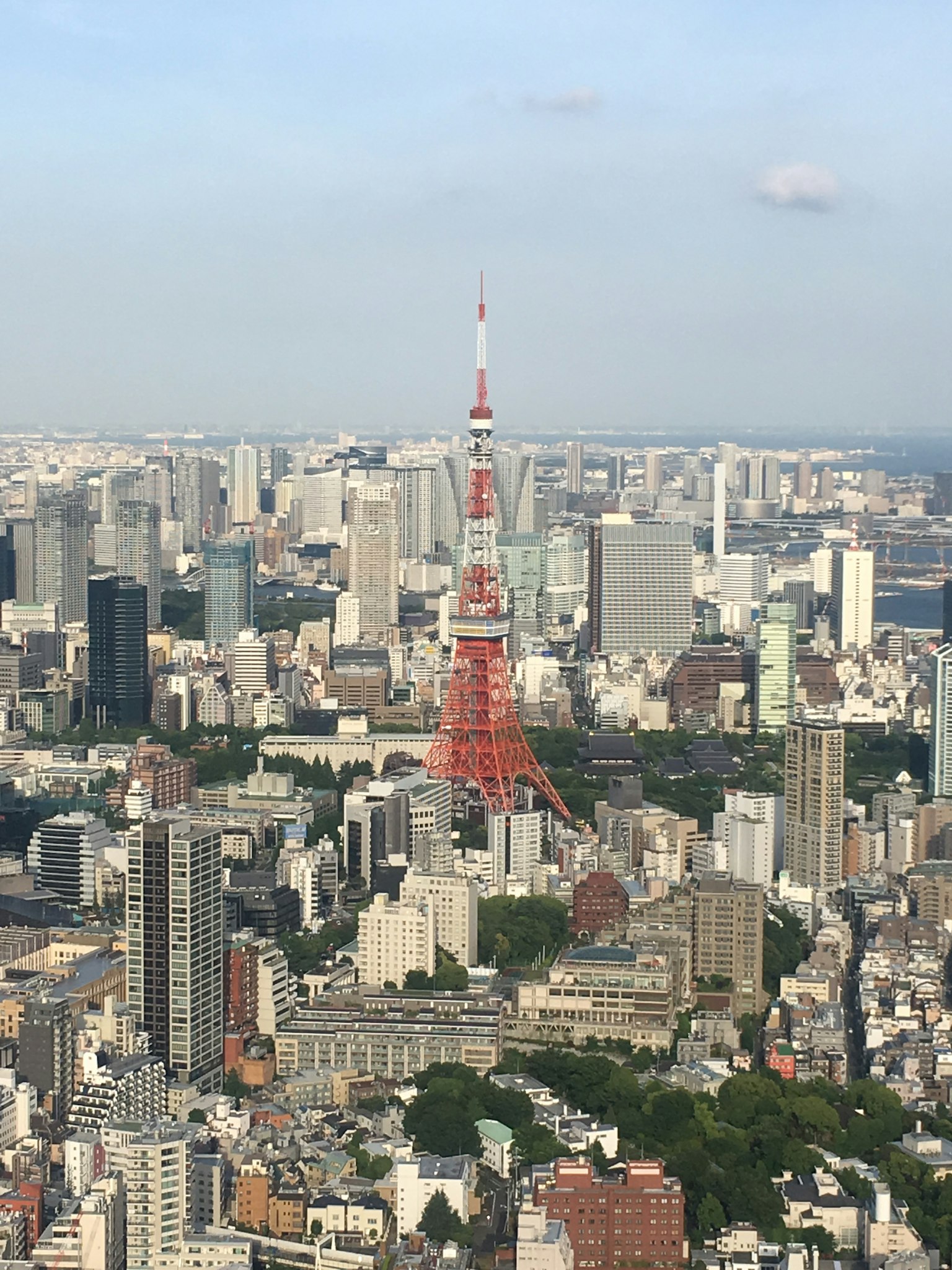 Pemandangan kota Tokyo dengan Menara Tokyo
