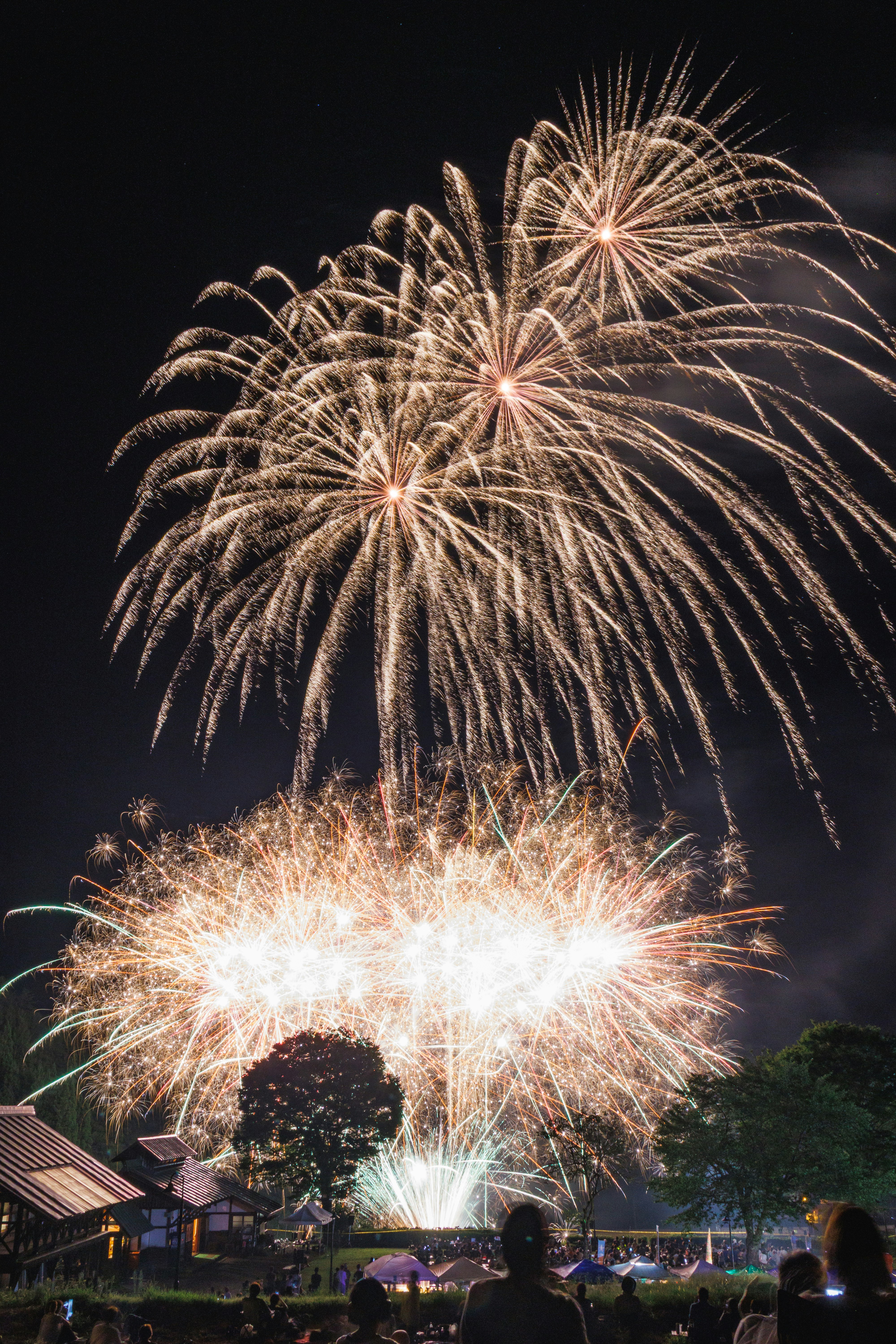 残暑の夜に咲く花火と打ち上げ花火の光景