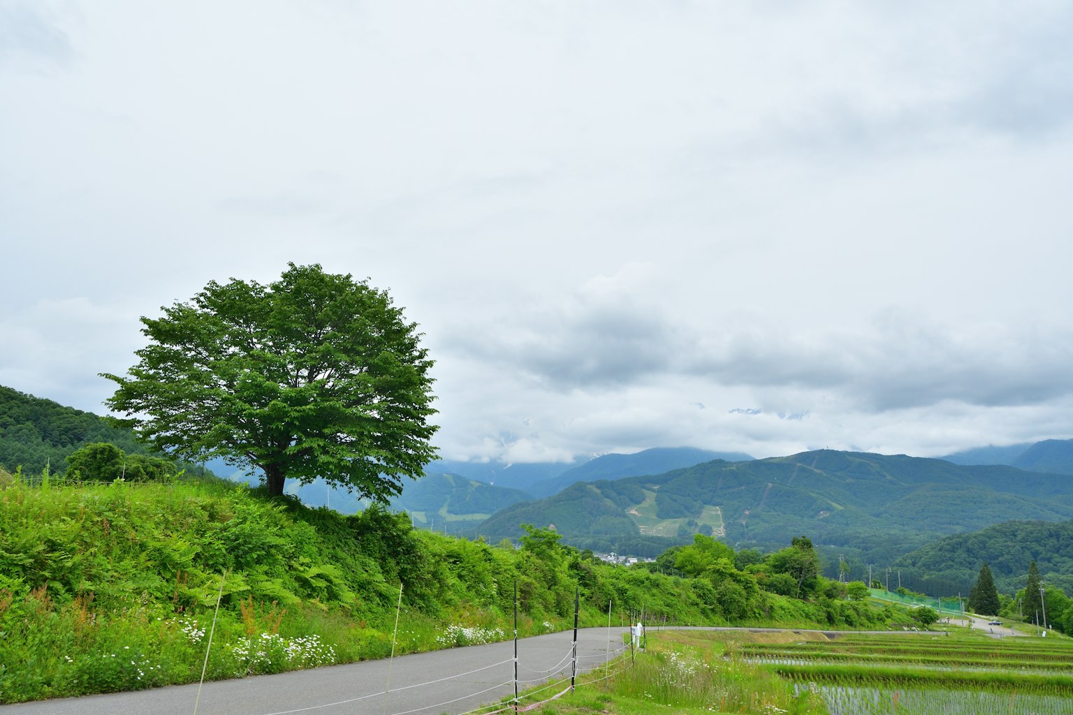 photo-1KZFfXVlGO2oyy6DTdWj-image