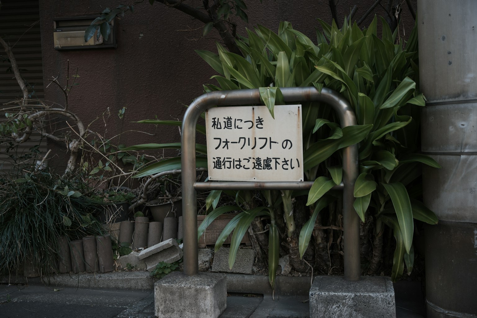 街道景觀,旁邊有綠色植物的Forlibna標誌