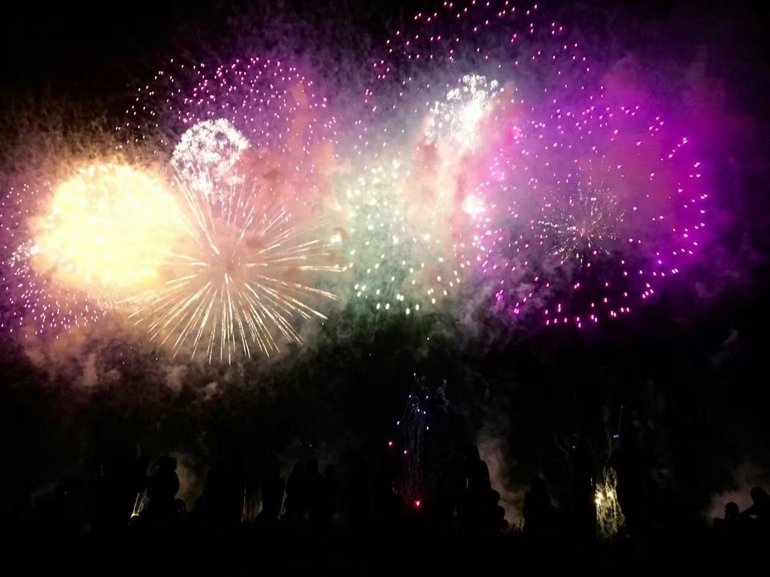 Bunte Feuerwerke explodieren am Nachthimmel