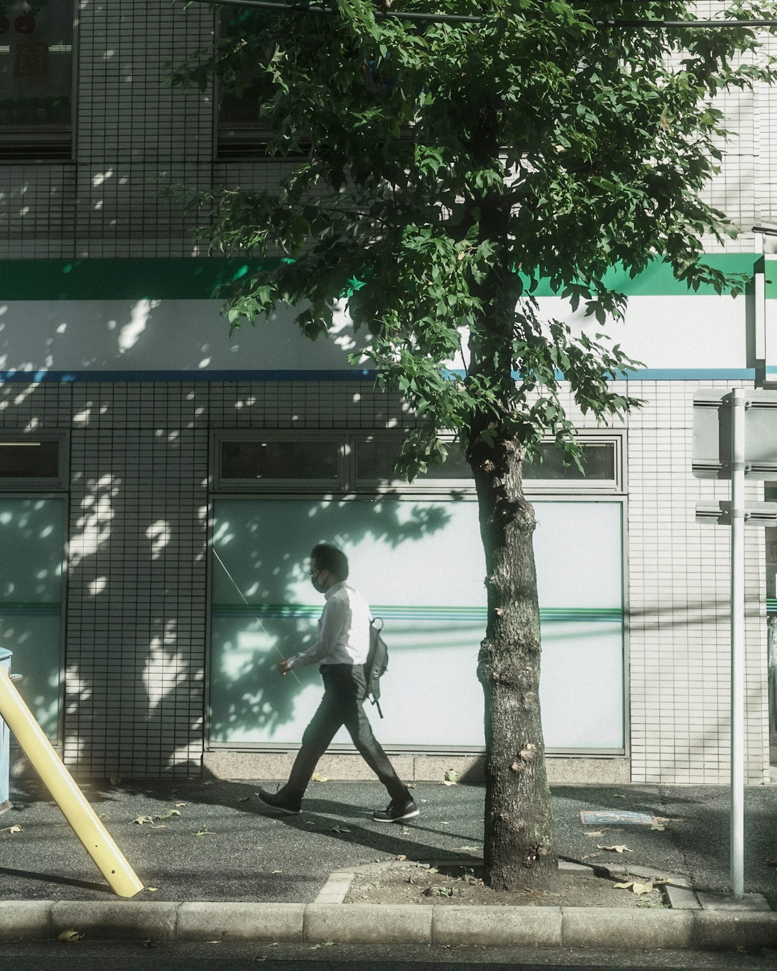 Businessman walking on sidewalk with green tree in urban setting