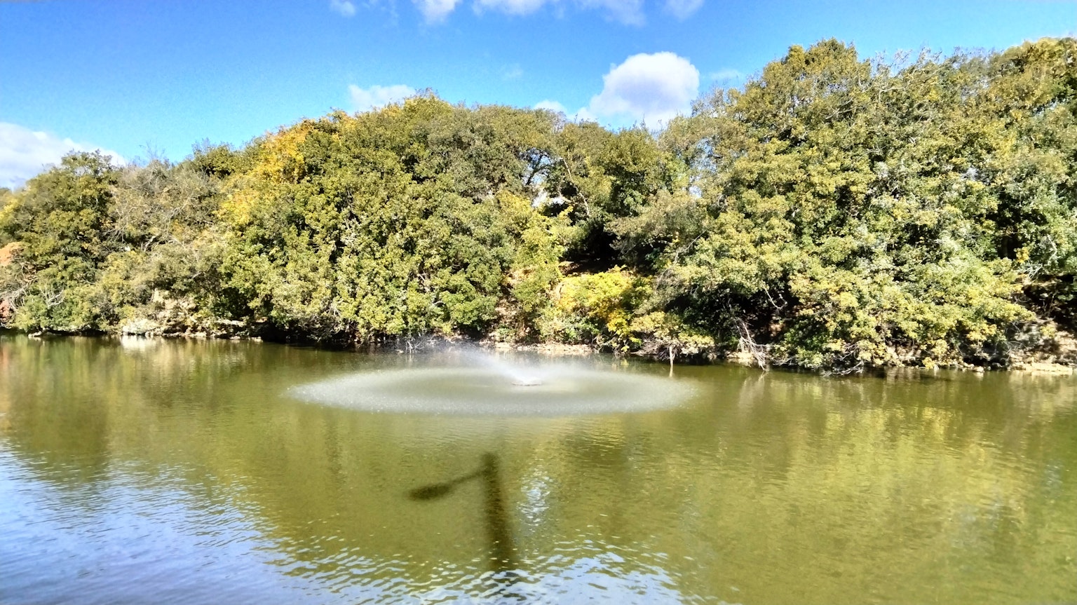 Un estanque sereno con una fuente bajo un cielo azul claro rodeado de árboles verdes