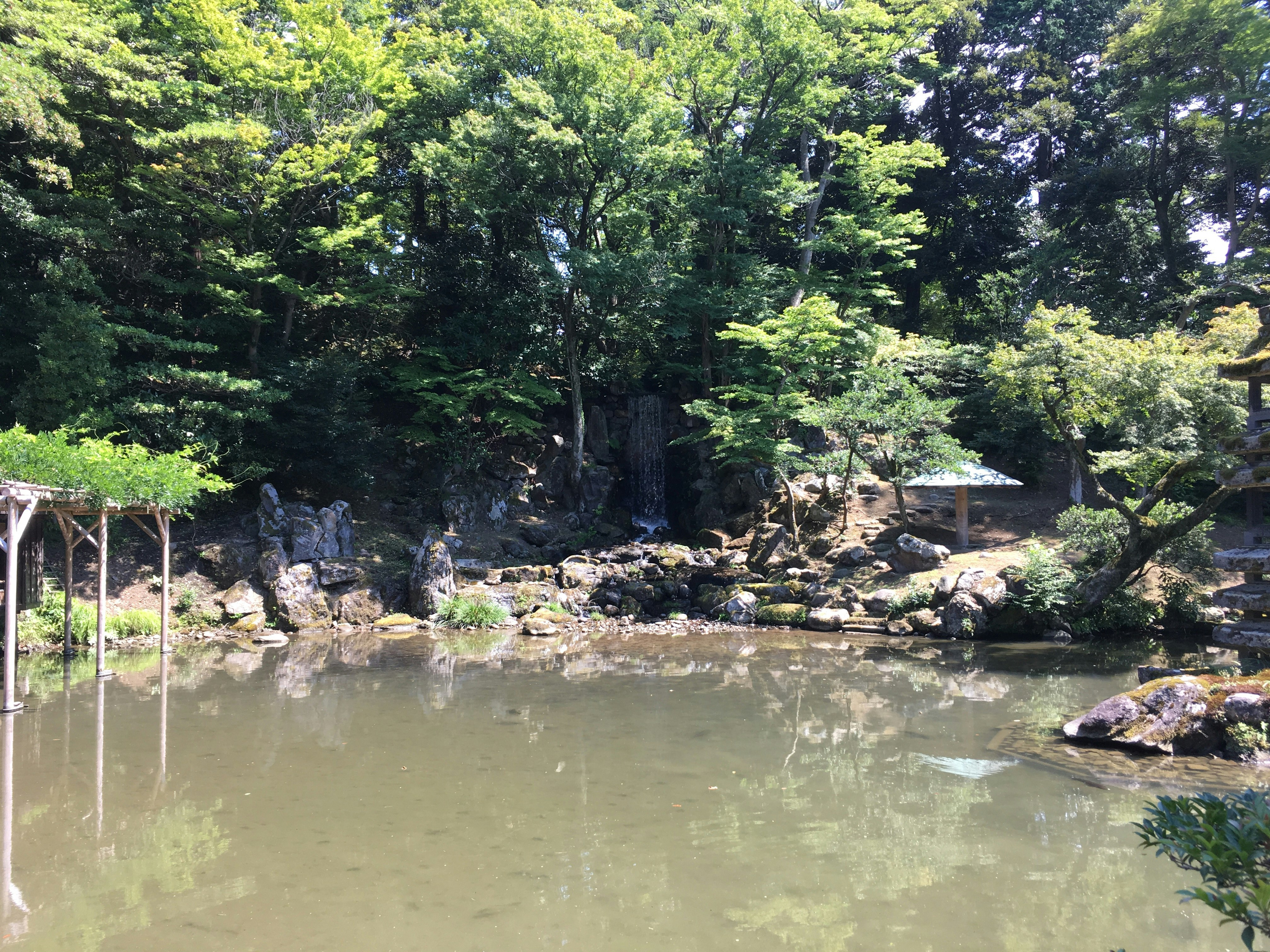 綠意庭院裡的池塘與假山石景