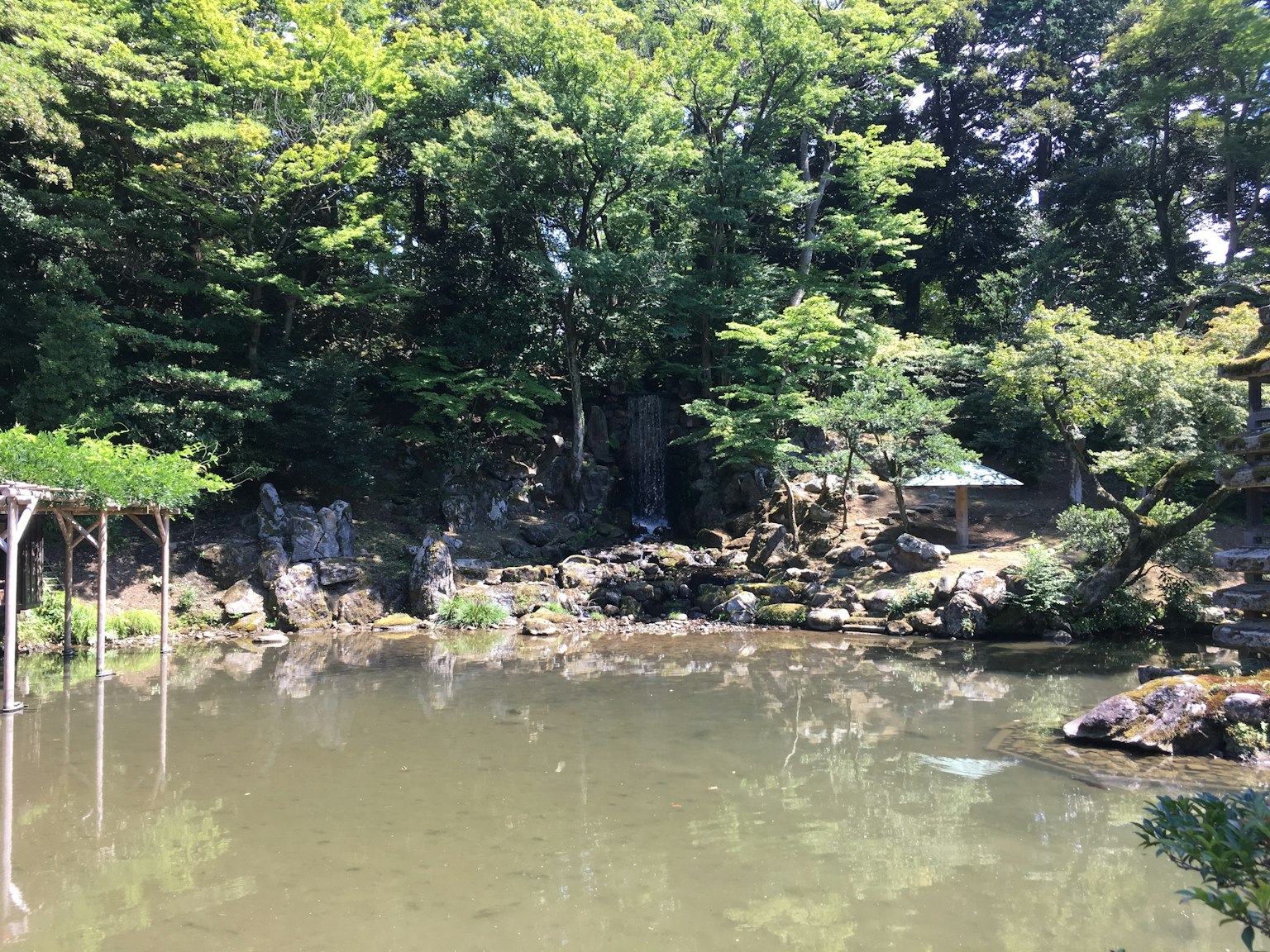 Étang serein entouré de verdure luxuriante