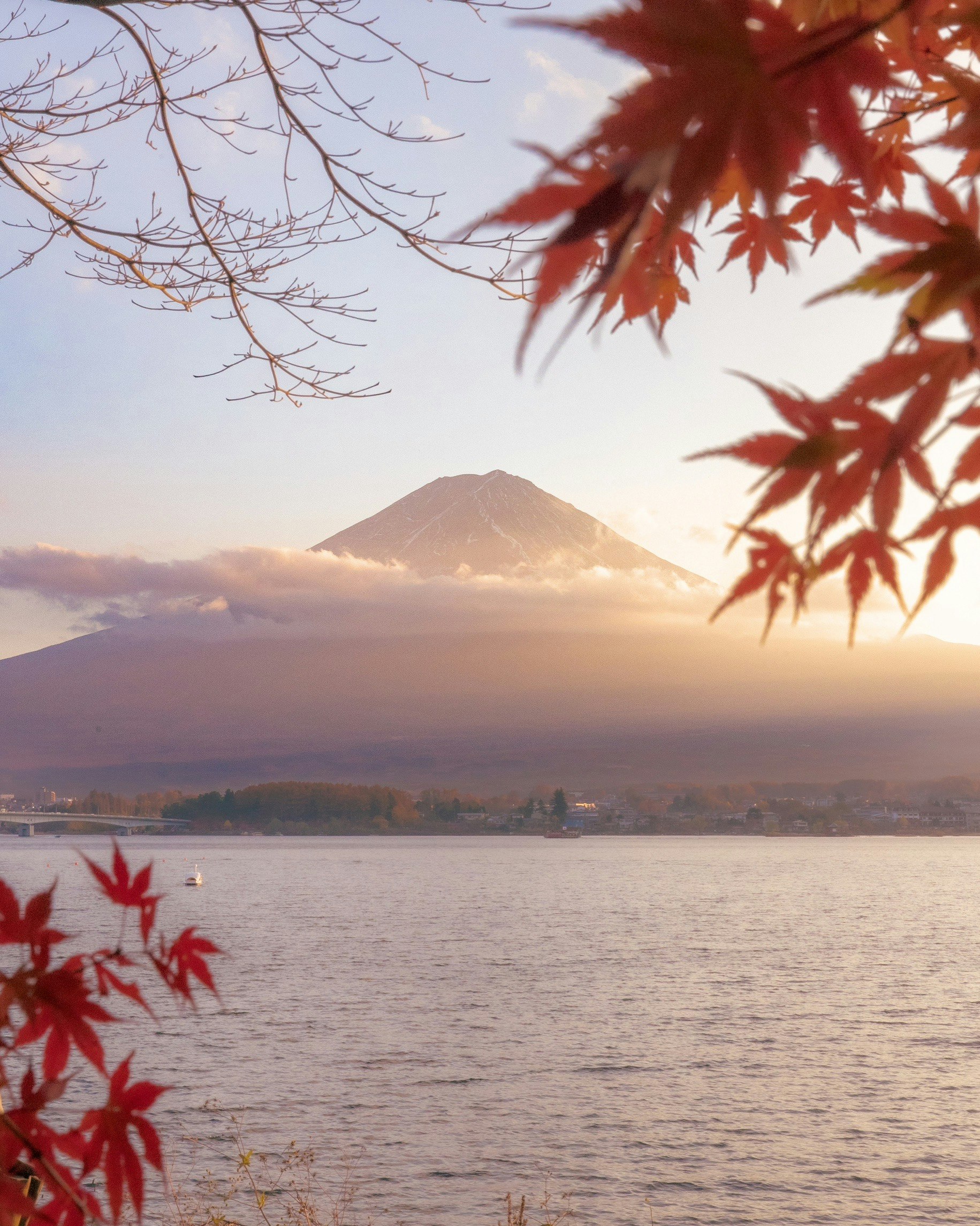 紅葉の葉越しに湖畔と遠くの山、夕暮れの光
