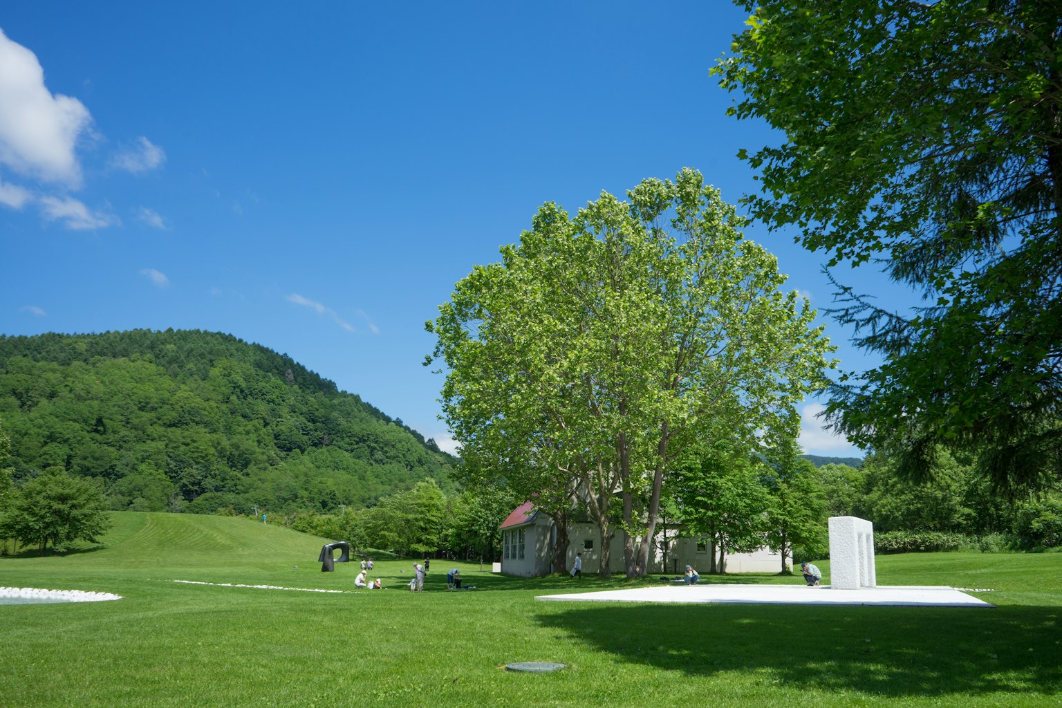 Ein großer Baum und ein kleines Haus auf einer grünen Wiese unter einem blauen Himmel