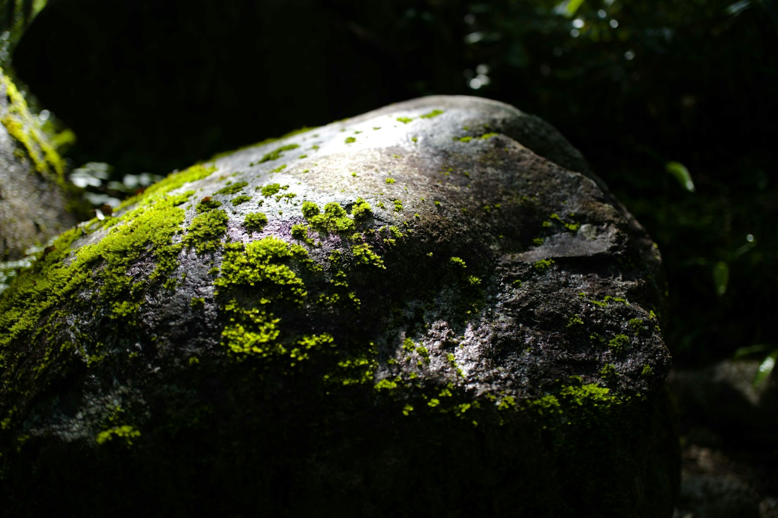 Nahaufnahme eines großen Felsens, der mit grünem Moos bedeckt ist