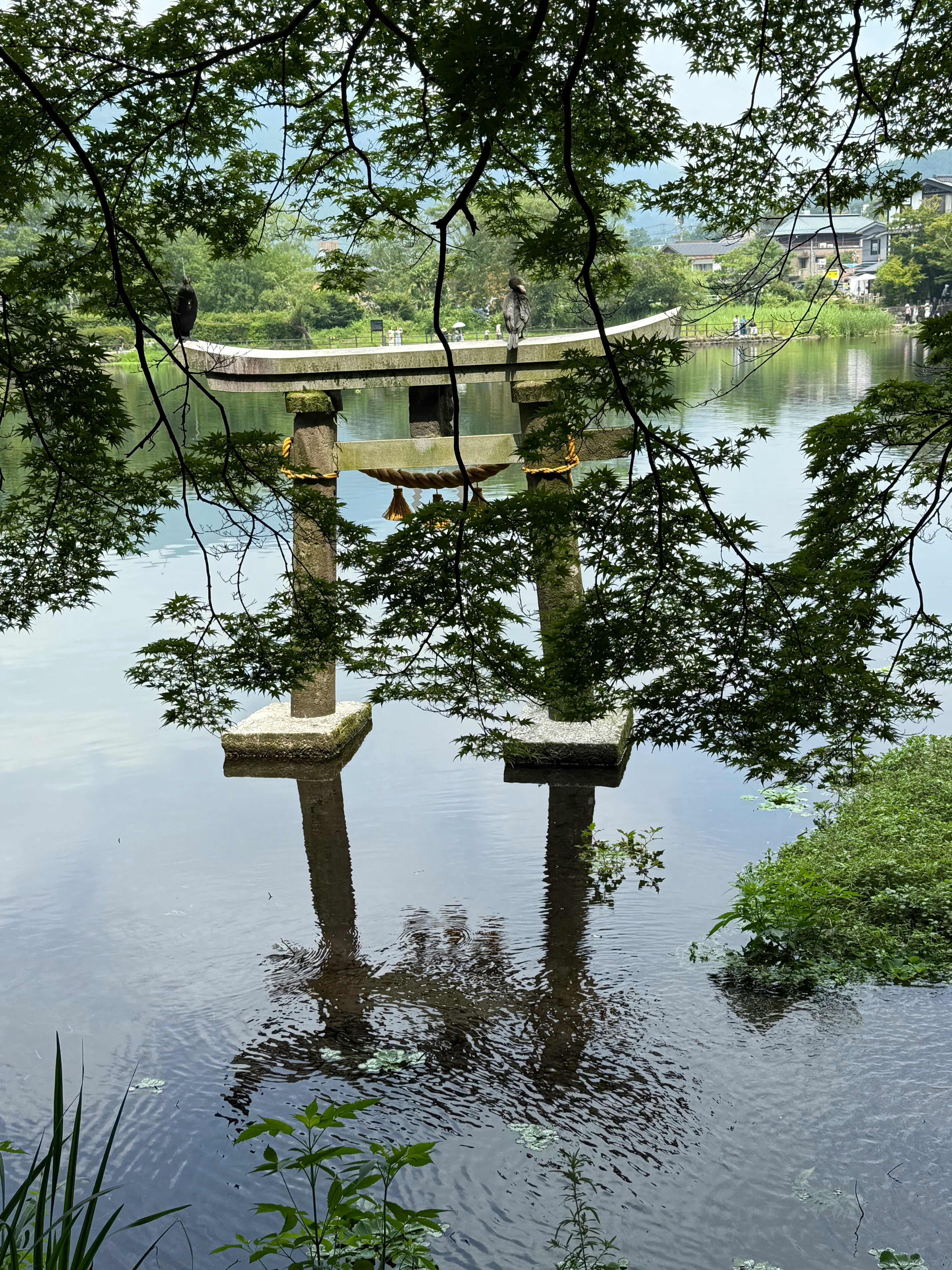 petit pont en bois au-dessus d’une rivière calme et reflets