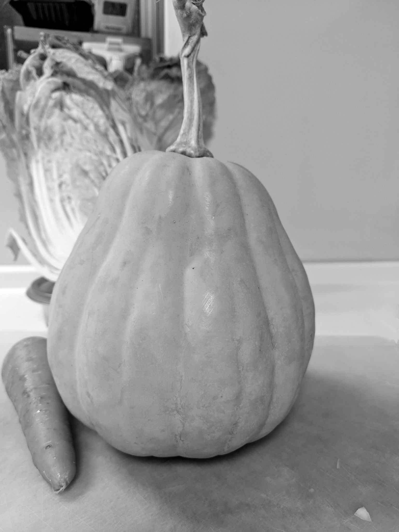 Natura morta in bianco e nero di una zucca e una carota