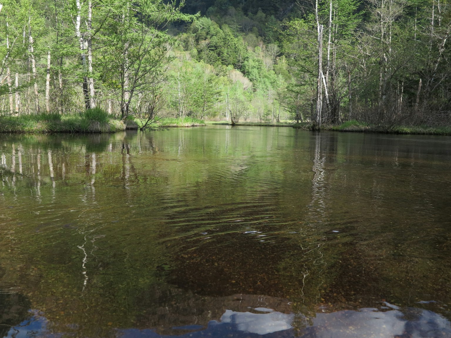 Calm water reflecting green trees and mountains