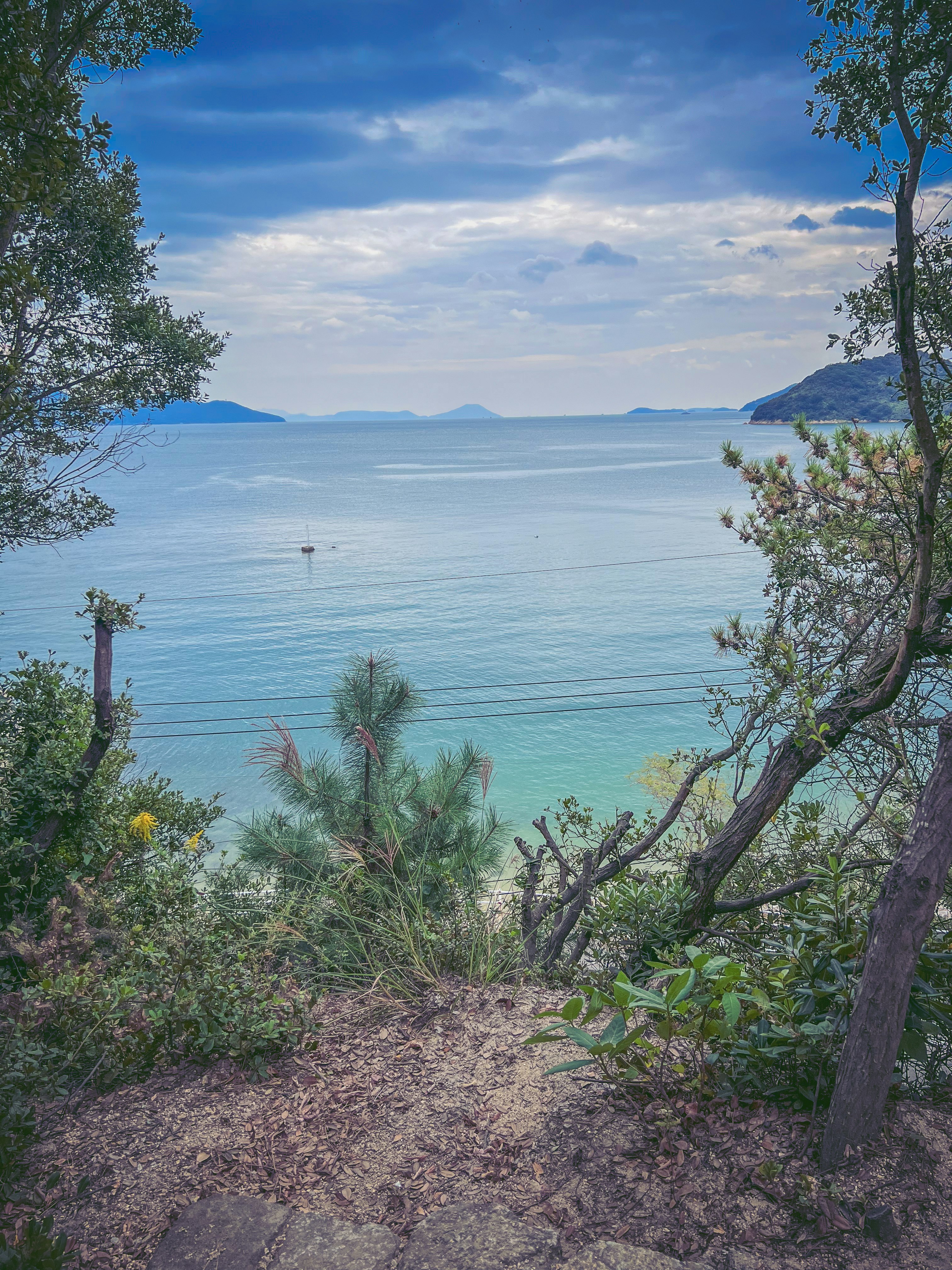 Serene seascape with blue sky surrounding lush greenery and clear water