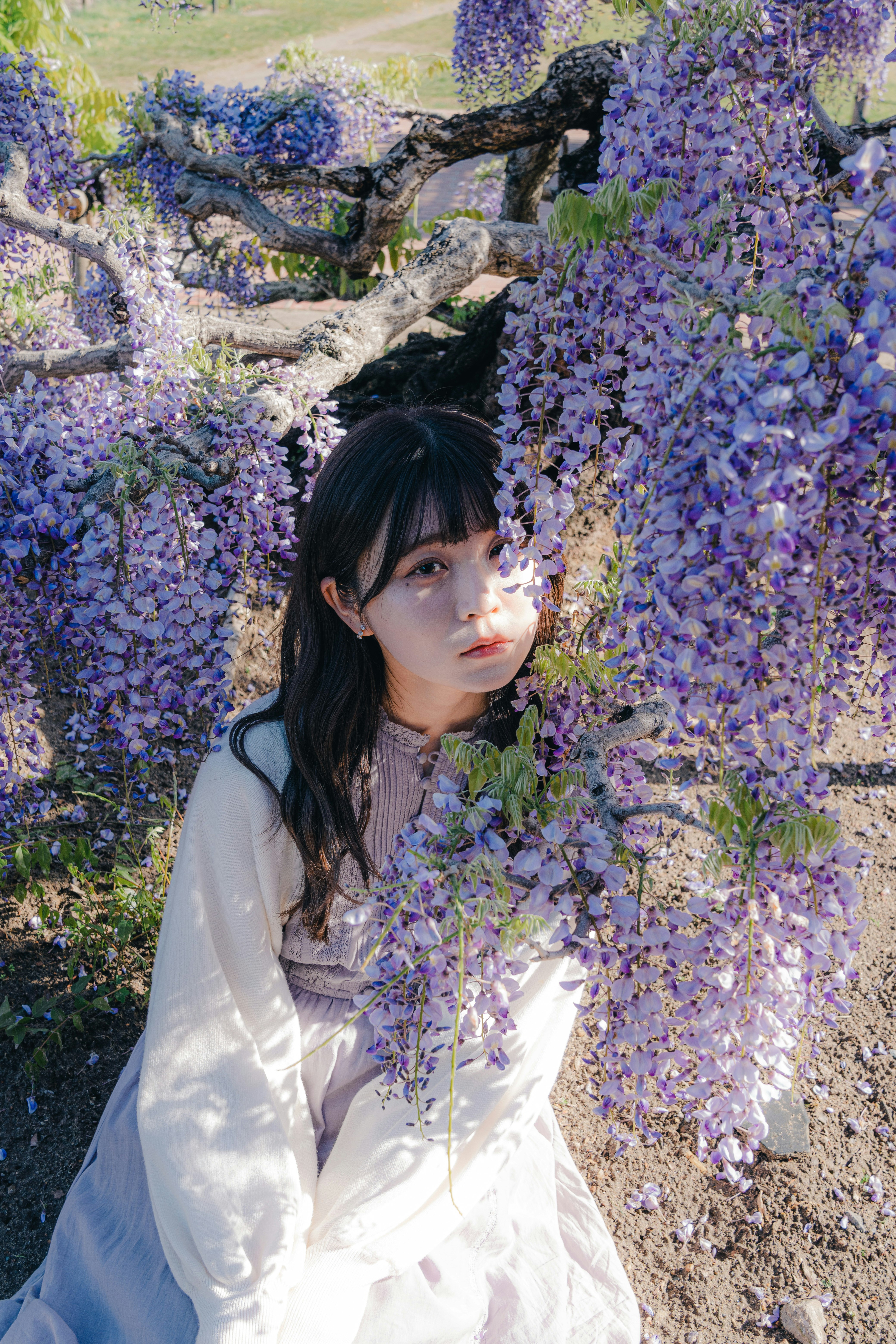 藤の花に囲まれた白いドレスの女性