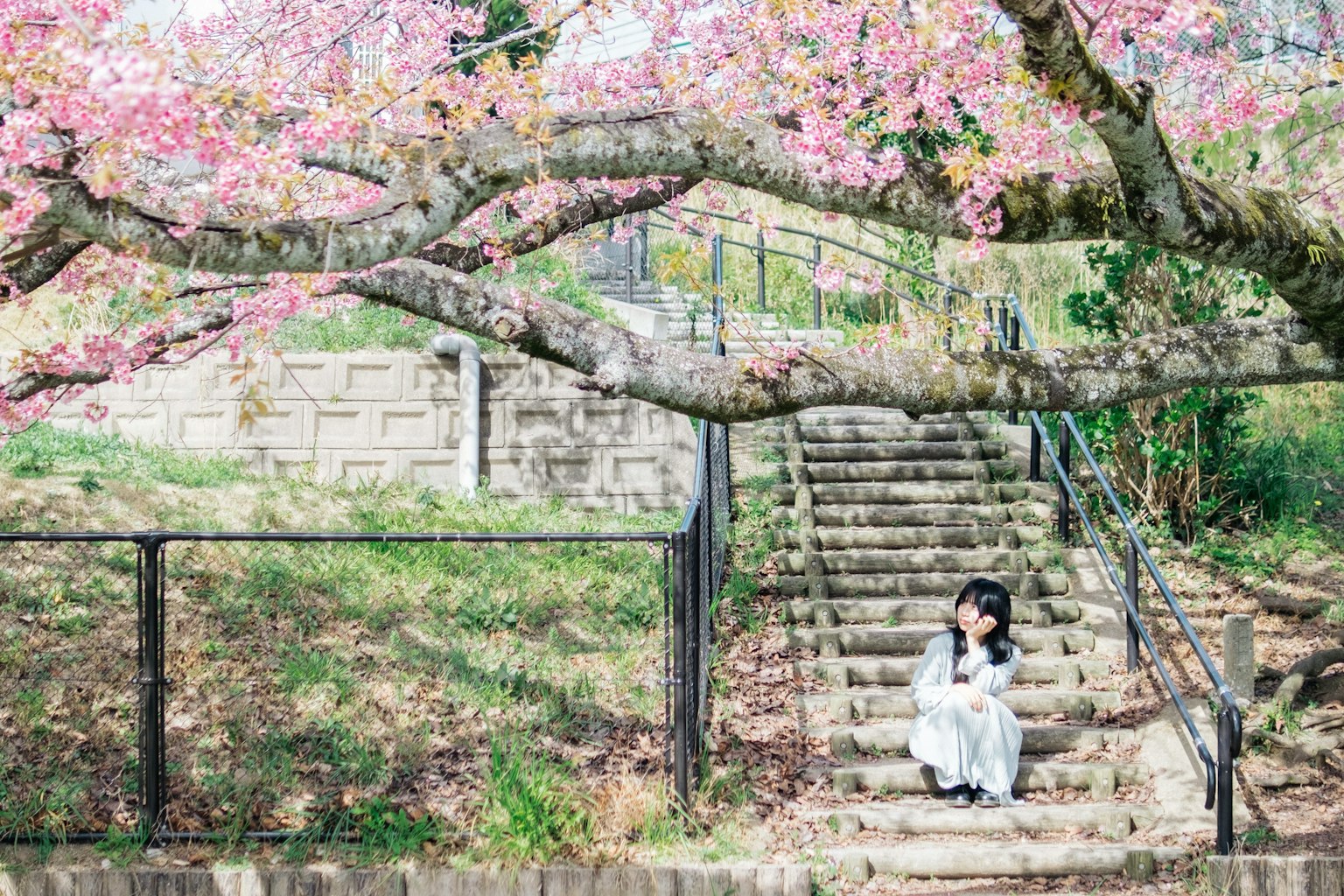 A woman sitting under a blooming cherry blossom tree wearing a white dress near stone stairs and green grass