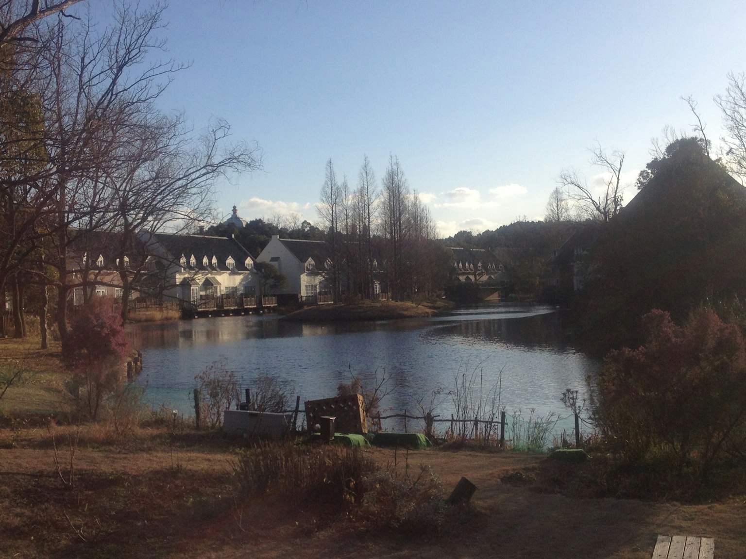 Un lago sereno rodeado de árboles con una zona residencial al fondo