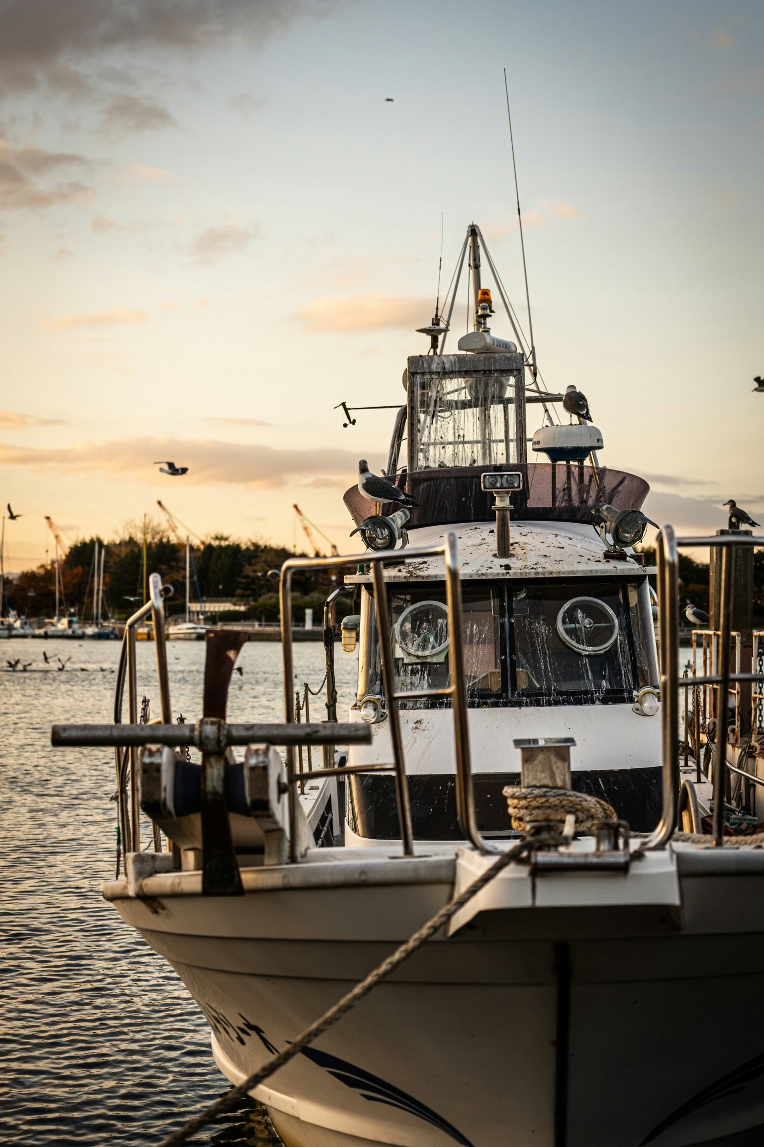 photo-1PsYLn8R5fuJDkhHUBYN-image