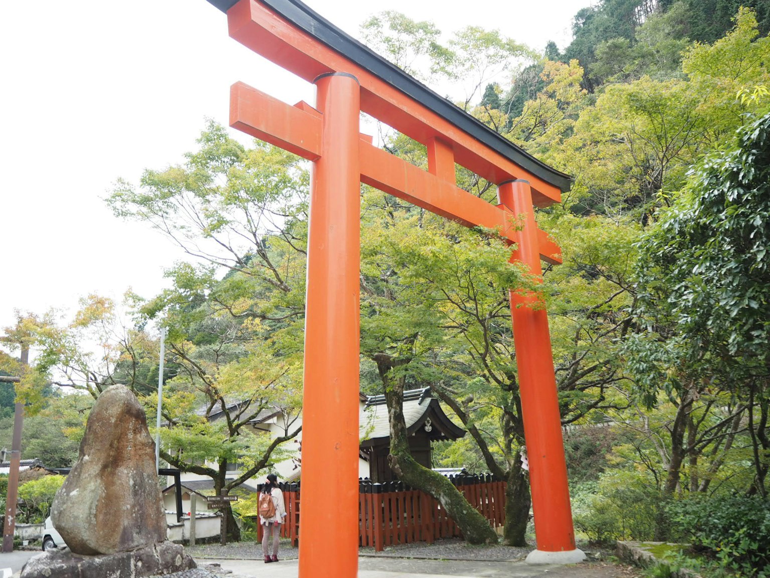 Un vivace cancello torii rosso circondato da una vegetazione lussureggiante
