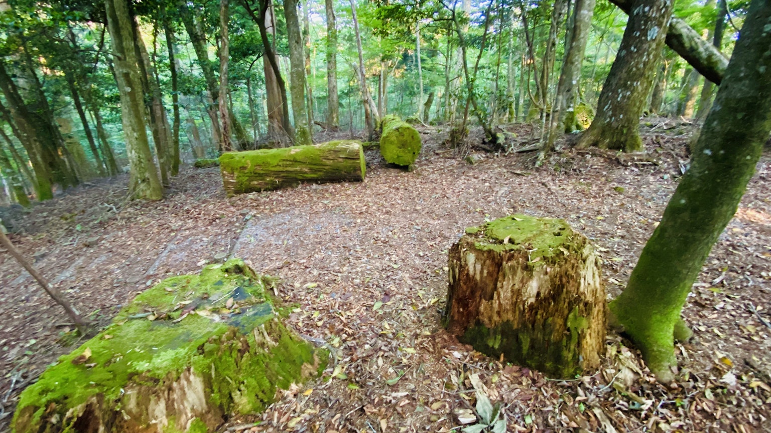 photo-1QHorPSkkSK7iett47gI-image