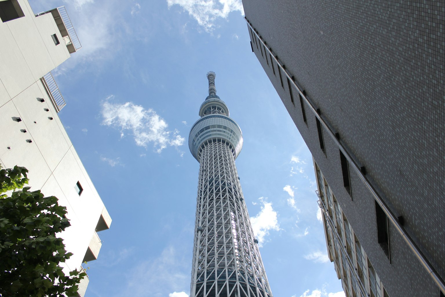 從下方看東京晴空塔周圍的建築和藍天