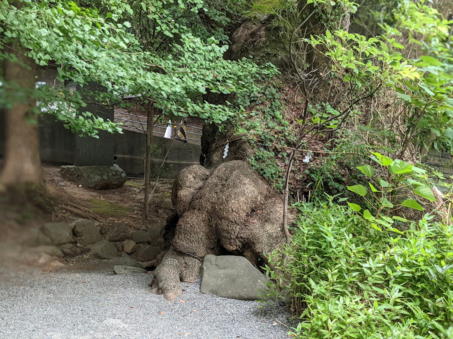 Felsenformation umgeben von üppigem Grün und einem Kiesweg