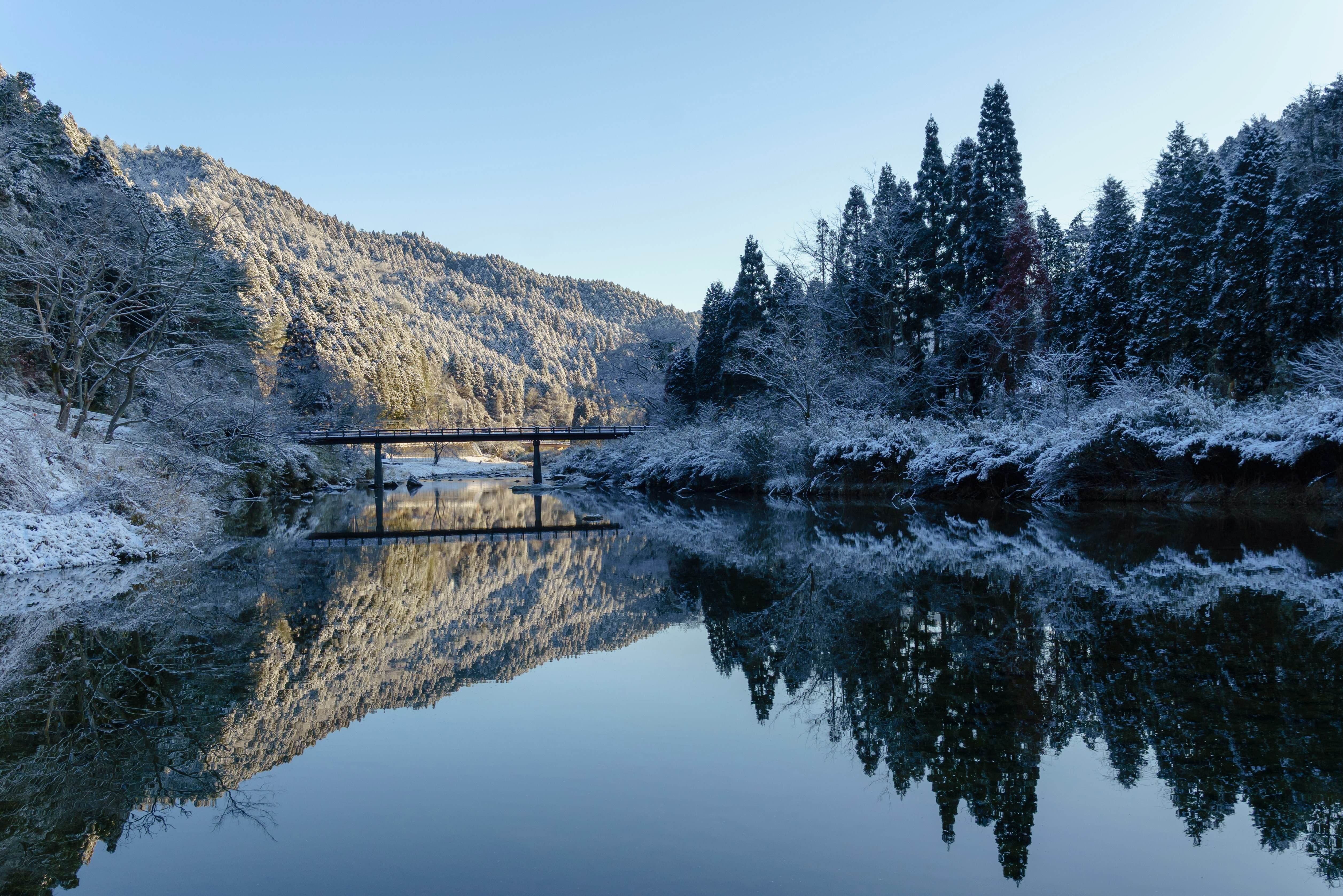 雪の降り積もる渓谷の川と森の風景