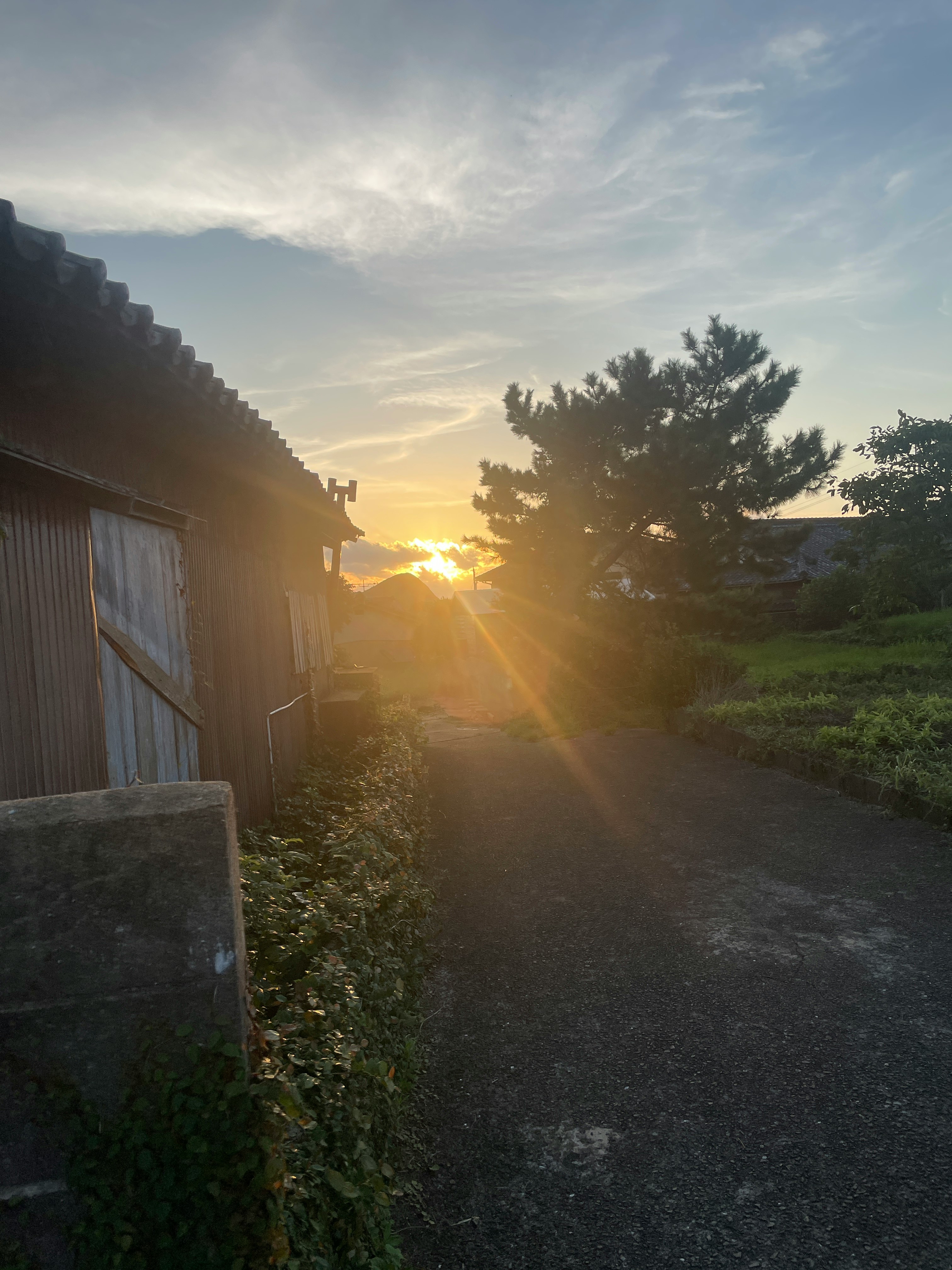夕陽照亮的鄉間小路與小棚屋