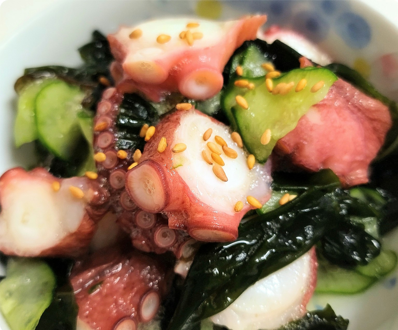 Insalata di polpo servita con alga e cetriolo