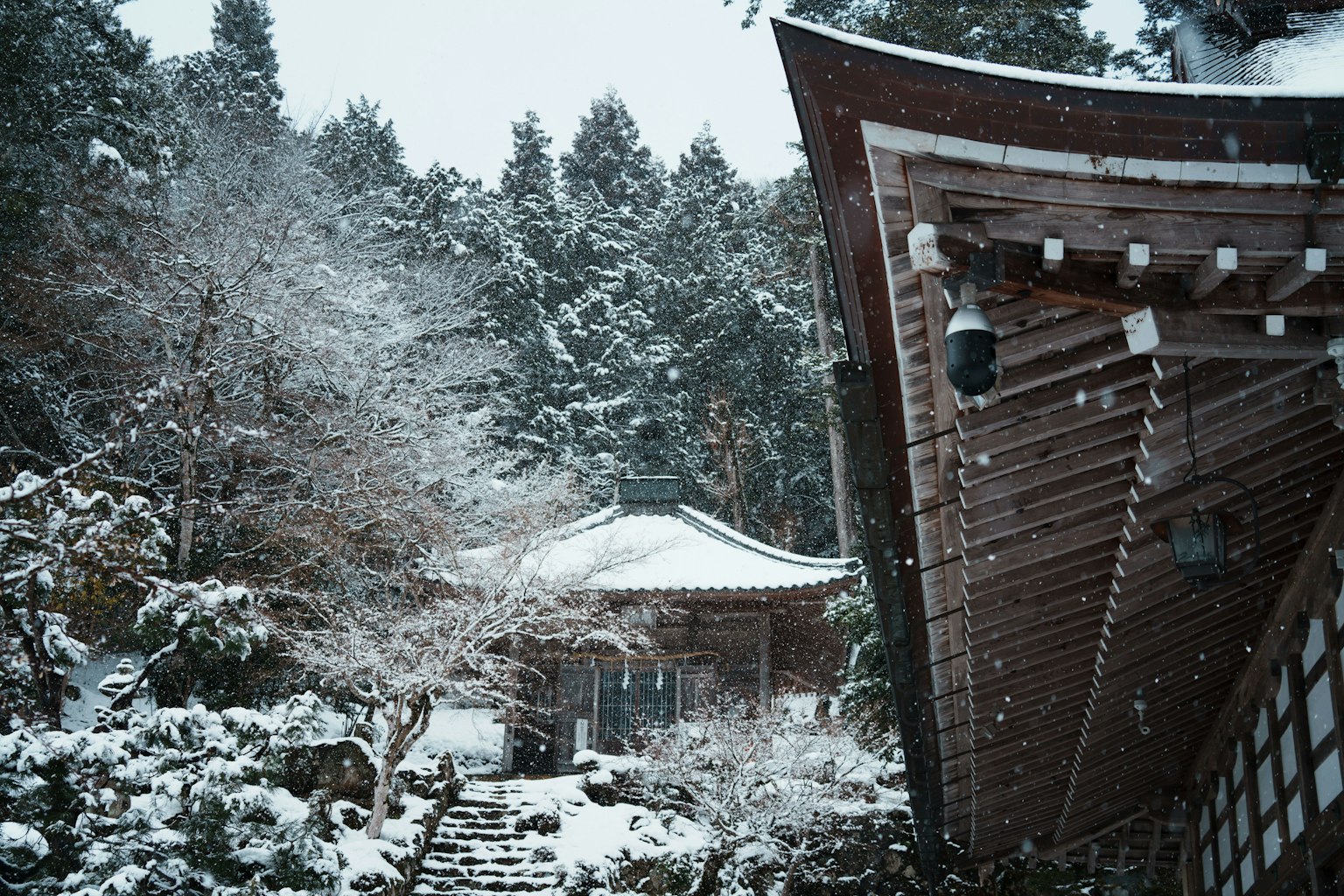 Snow-covered temple surrounded by trees