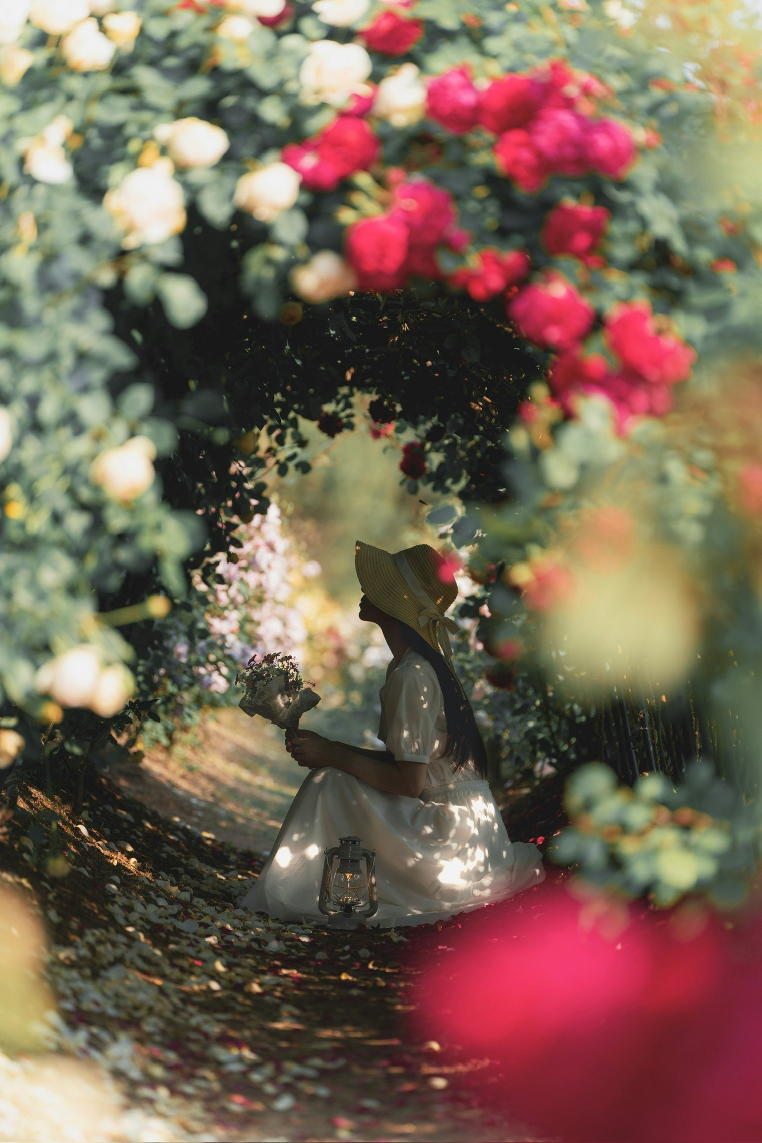 そらの花畑のローズフェスタで咲く薔薇と花の小道
