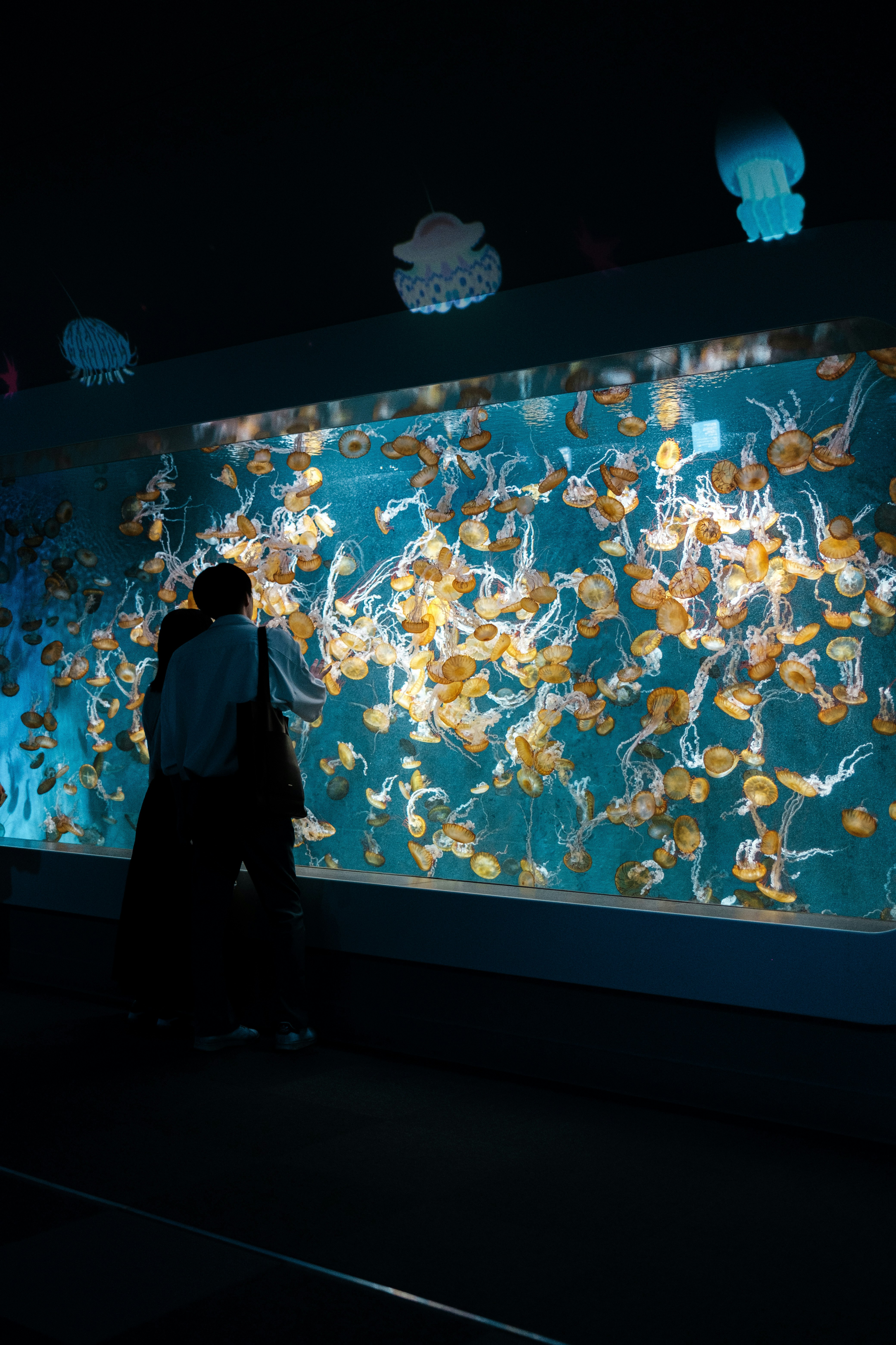 person seen from behind looking at a jellyfish tank