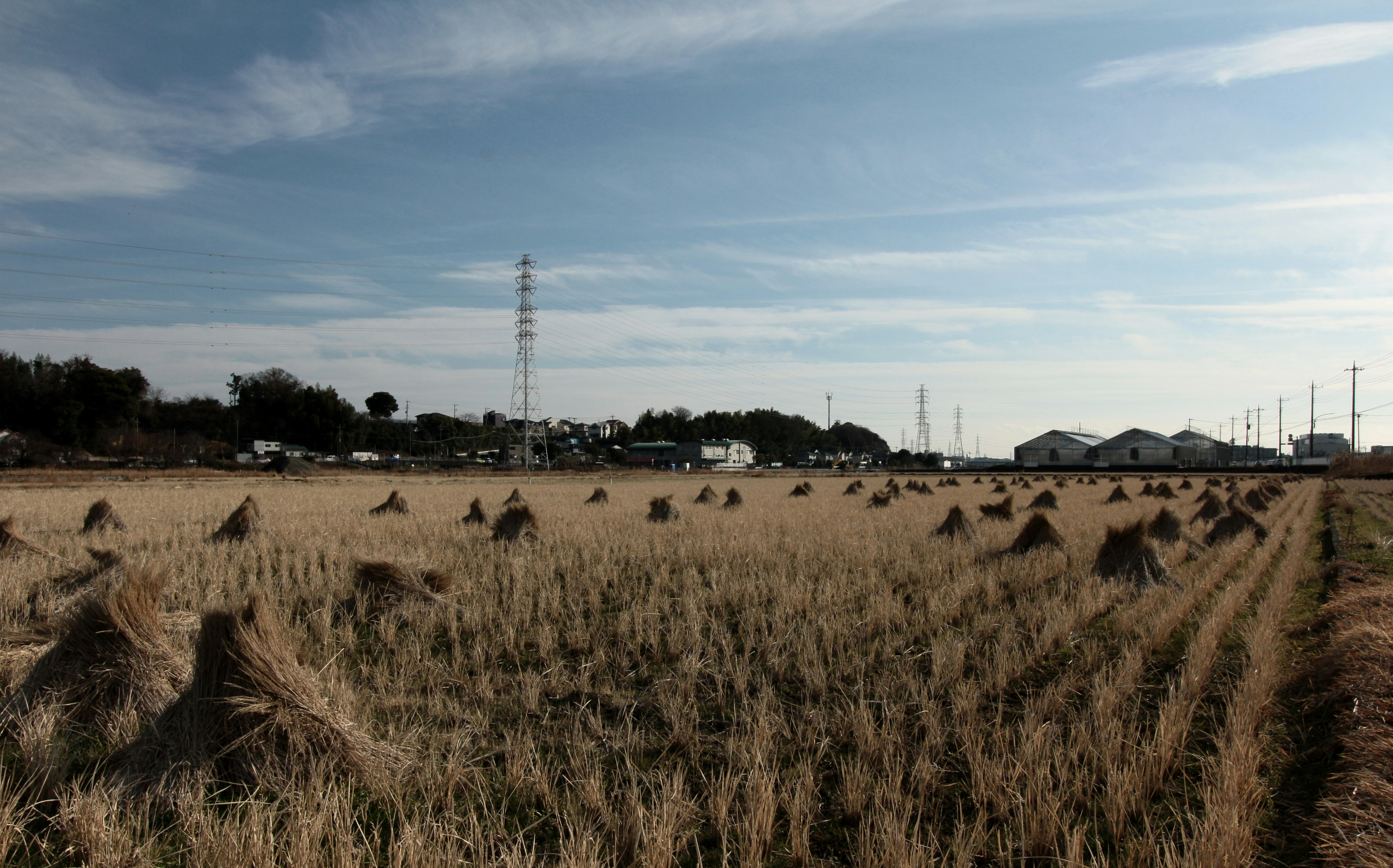 真冬の枯れた田畑の広がる風景
