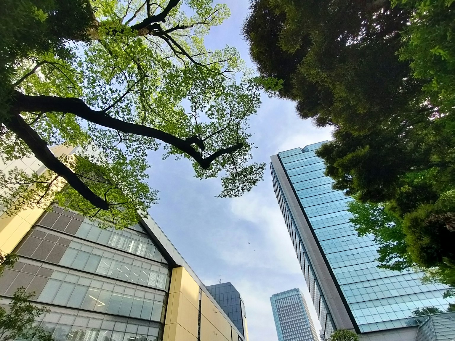 Pemandangan gedung tinggi dan pohon di bawah langit biru