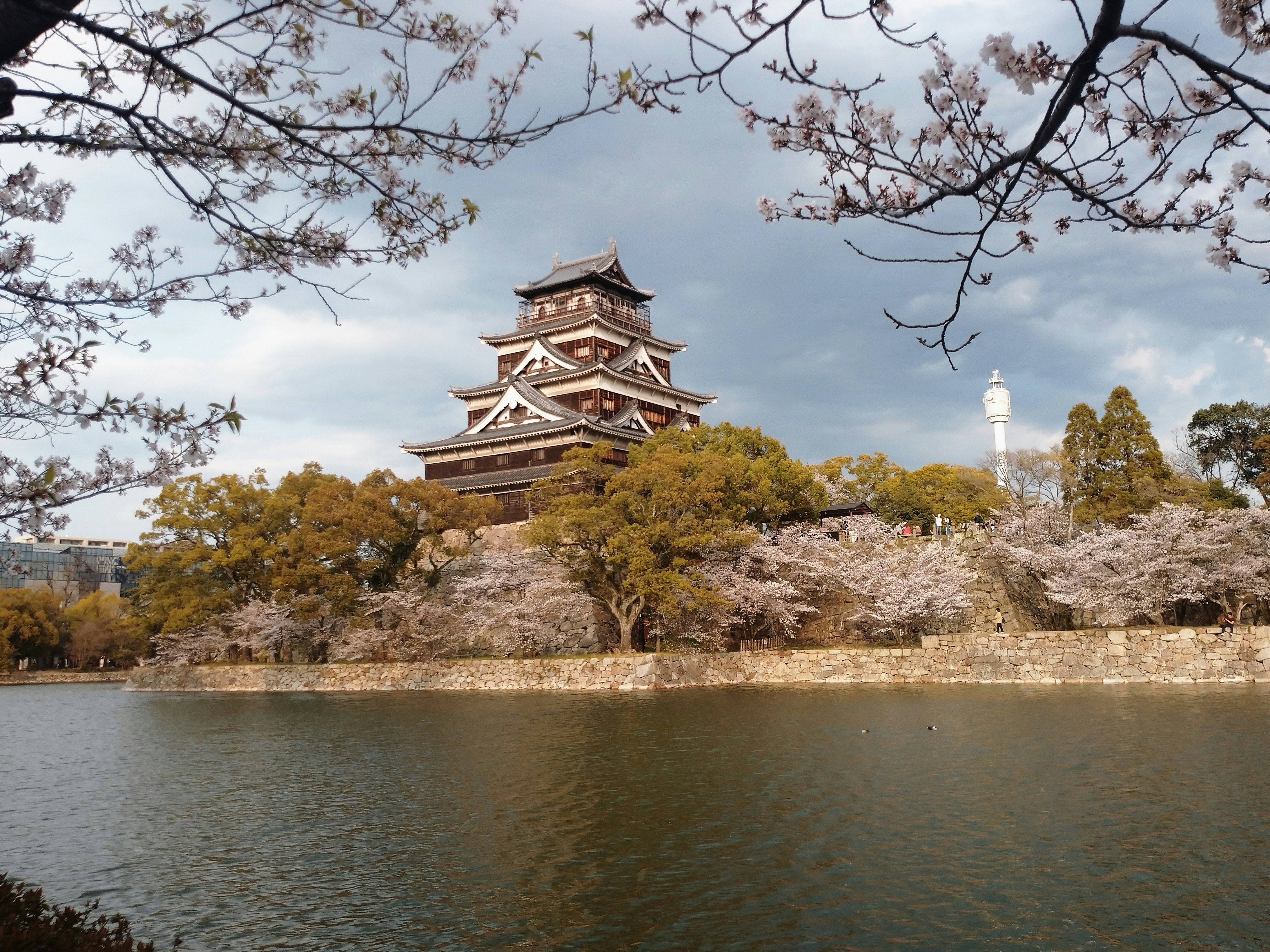 城と桜が見える堀のある風景