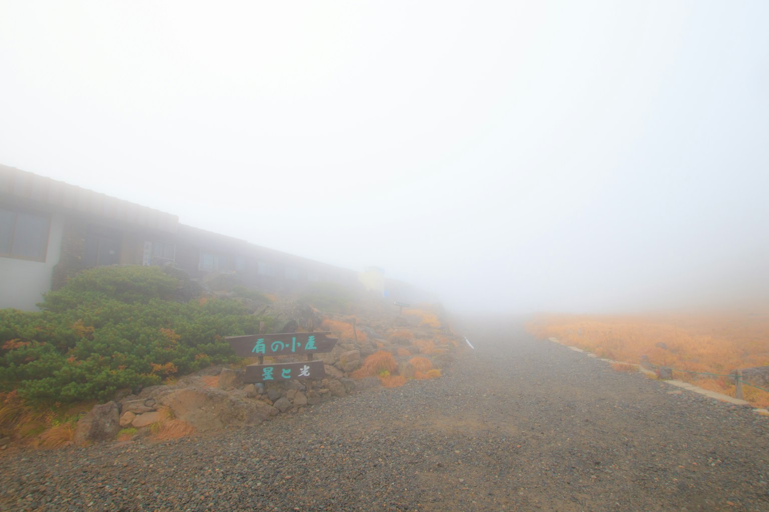 Sendero cubierto de niebla con paisaje circundante
